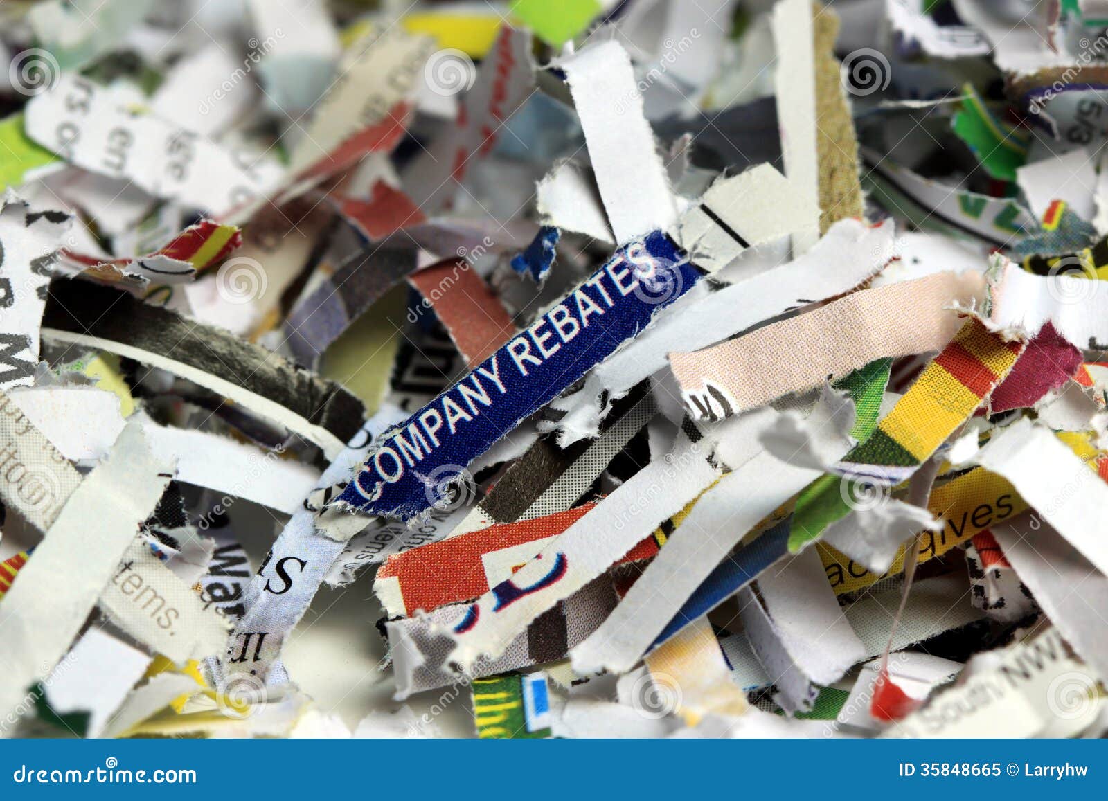 the-words-company-rebates-with-shredded-documents-recycling-concept