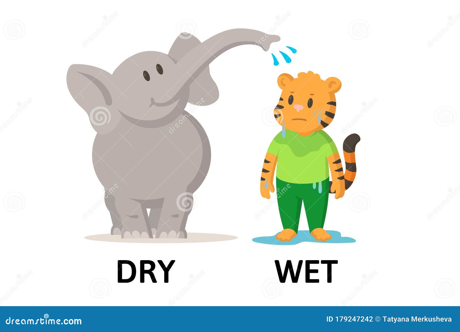 Words Dry and Wet Flashcard with Cartoon Animal Characters. Opposite  Adjectives Explanation Card. Flat Vector Stock Vector - Illustration of  character, cute: 179247242