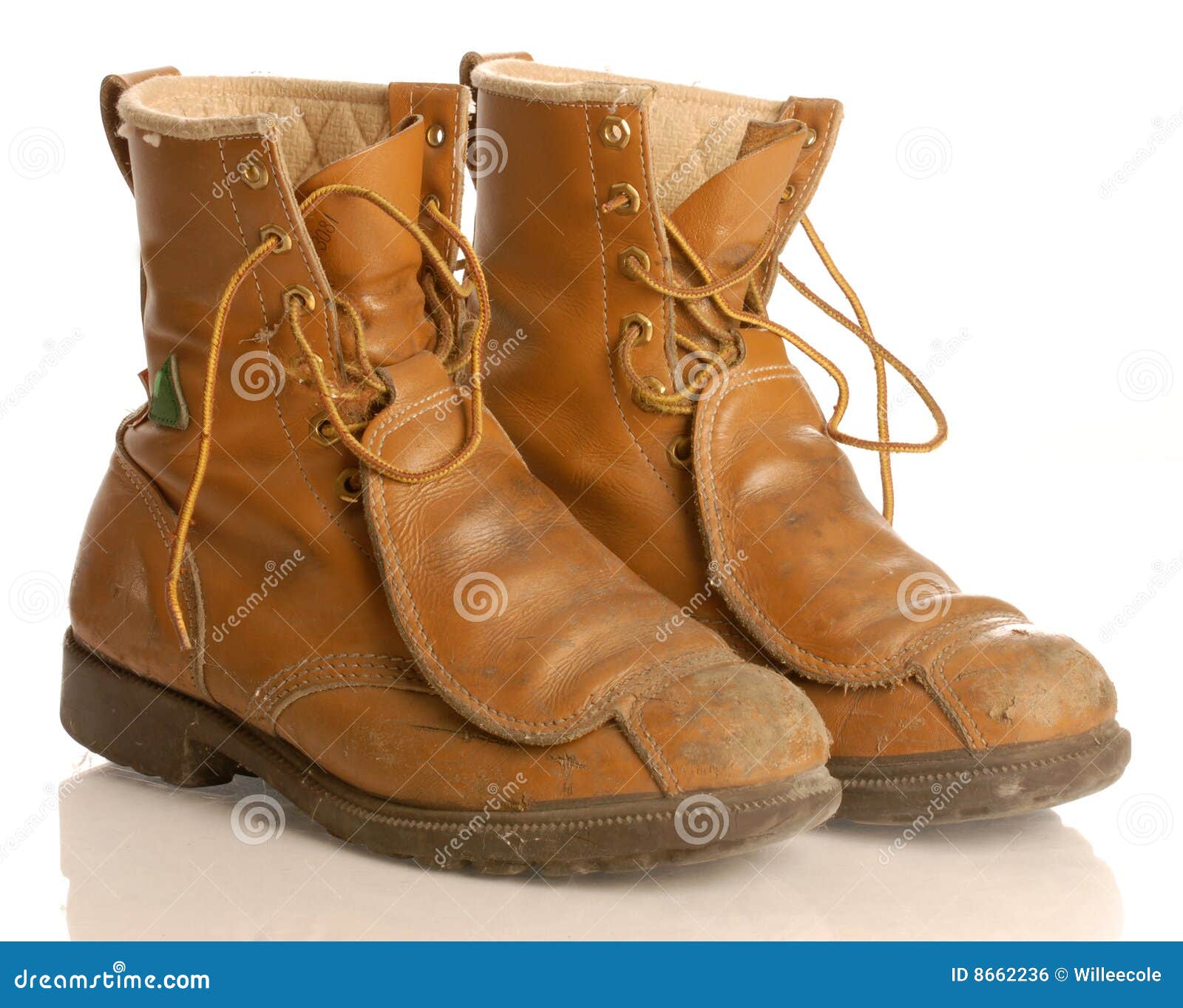 Work boots stock photo. Image of earth, protective, tired - 8662236