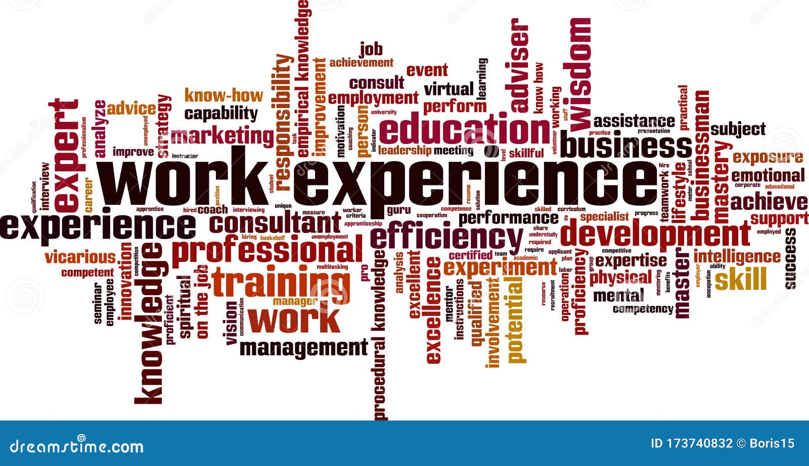 Working experience or work experience
