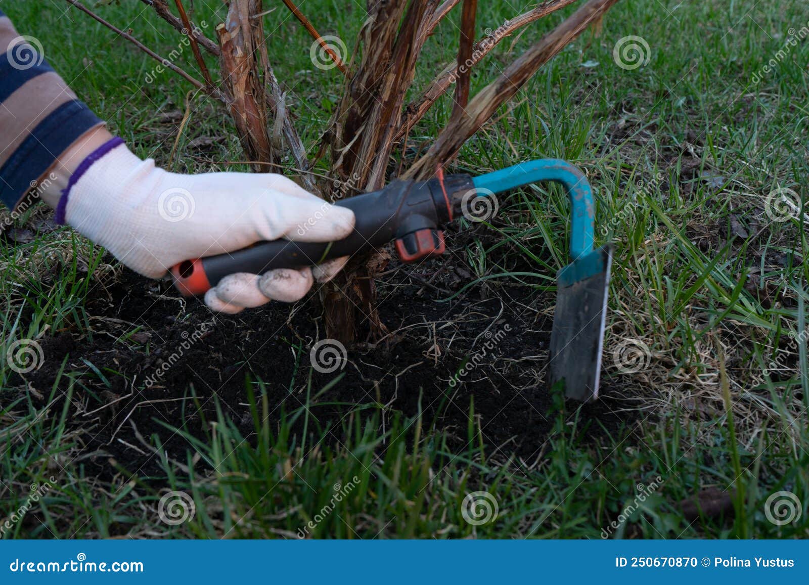 Work in garden stock photo. Image of growing, hobby 250670870