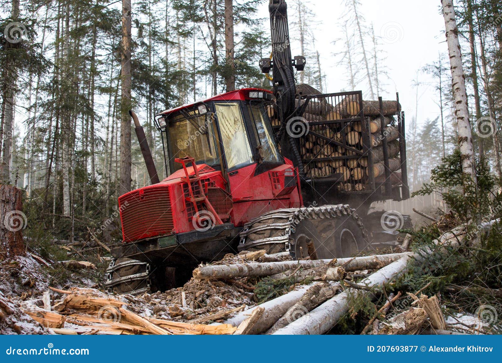 The Work of Heavy Logging Equipment in the Winter Taih. a Forwarder