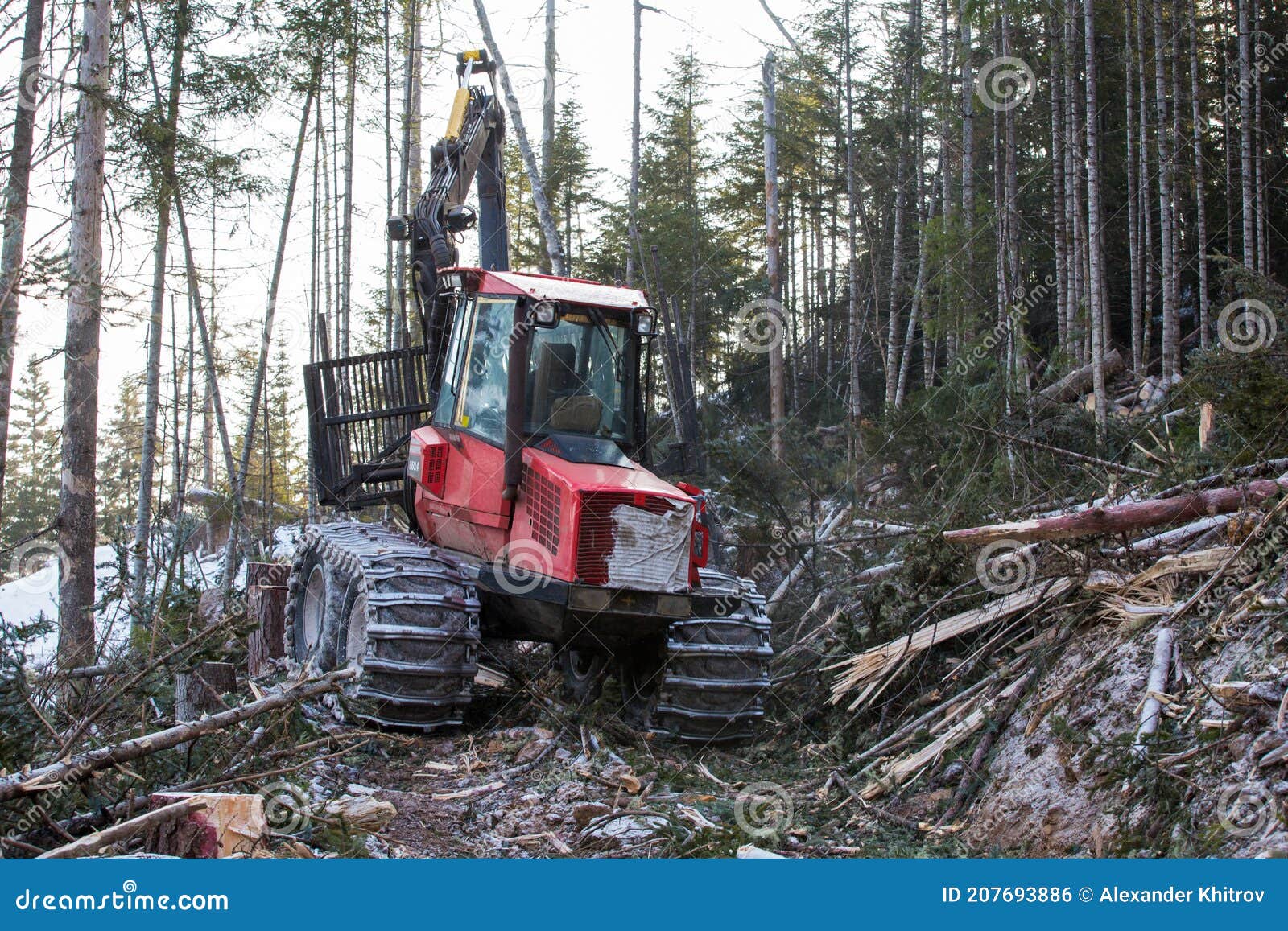 The Work of Heavy Logging Equipment in the Winter Taih. a Forwarder