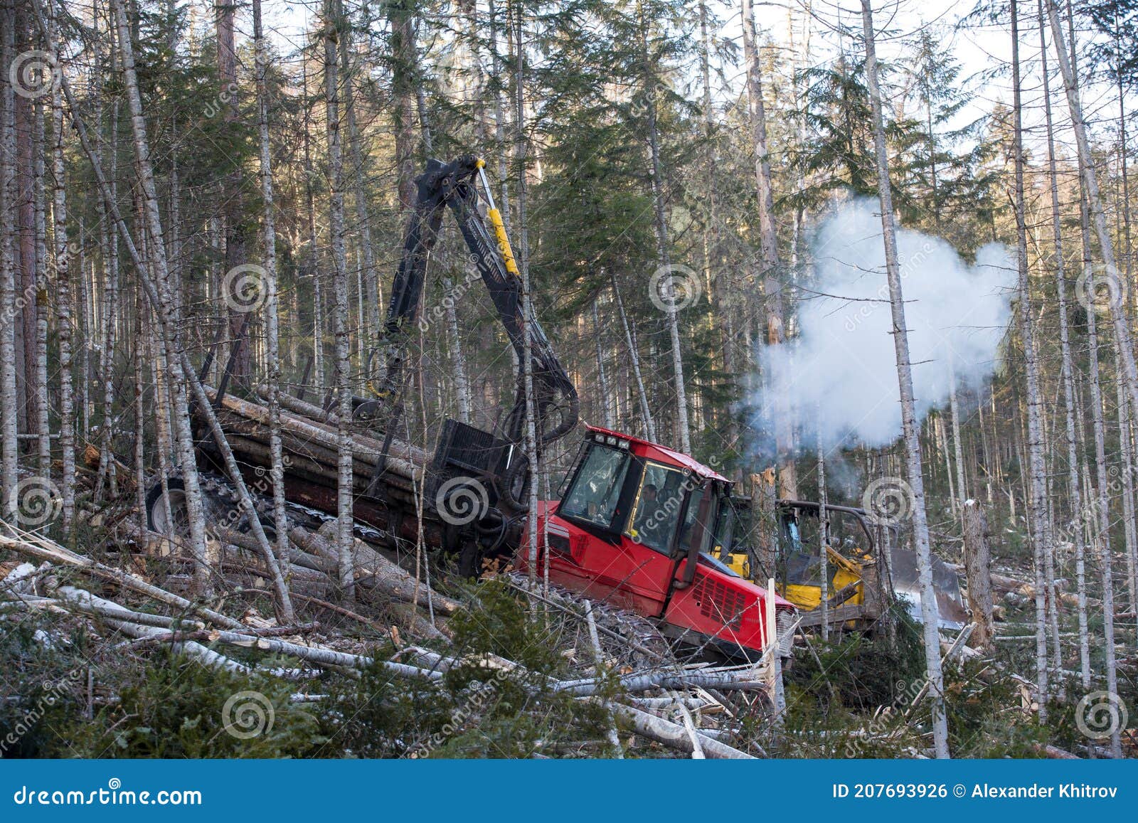 The Work of Heavy Logging Equipment in the Winter Taih. a Forwarder