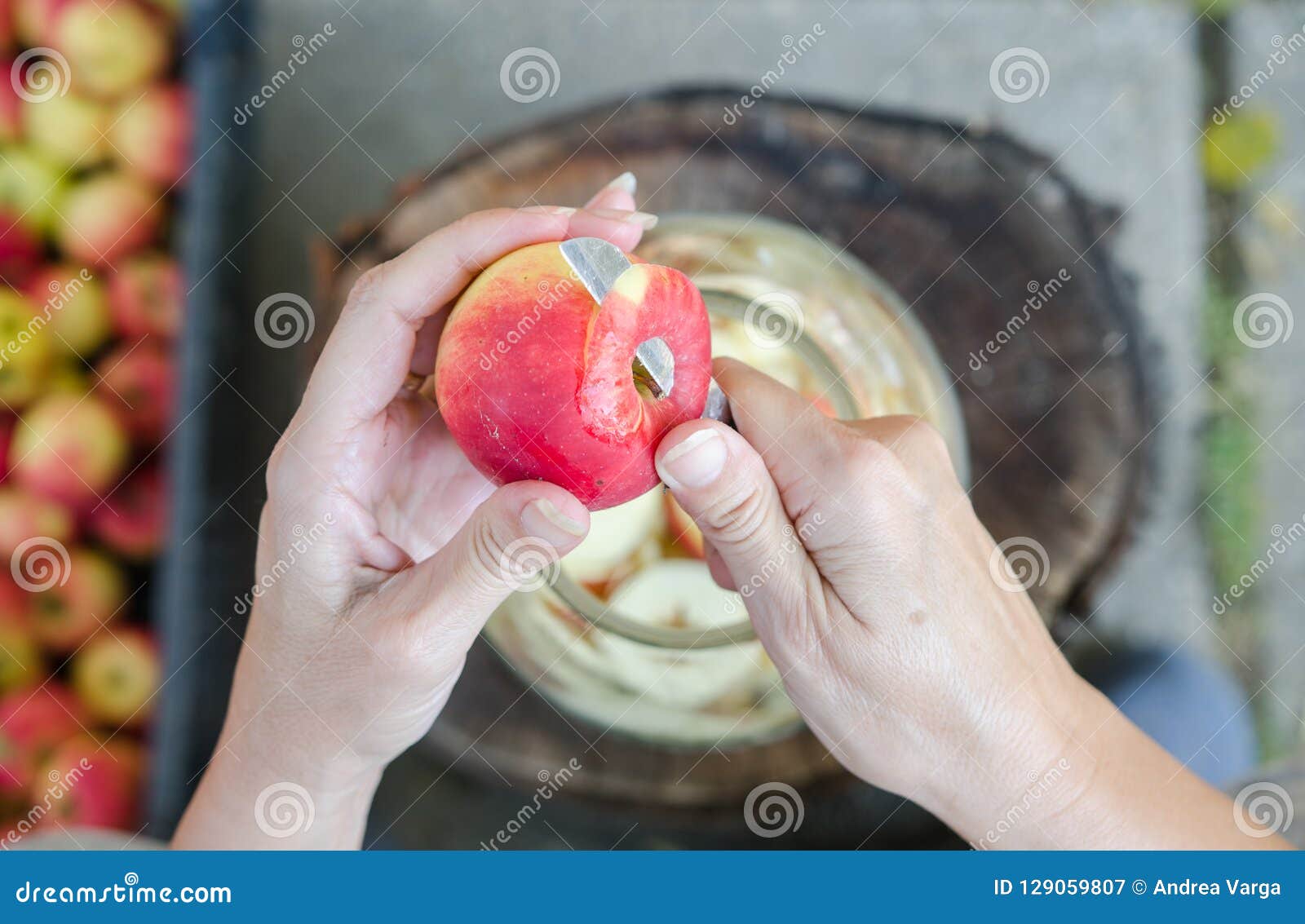 making of apple vinegar - scene from above - hand peeling apples