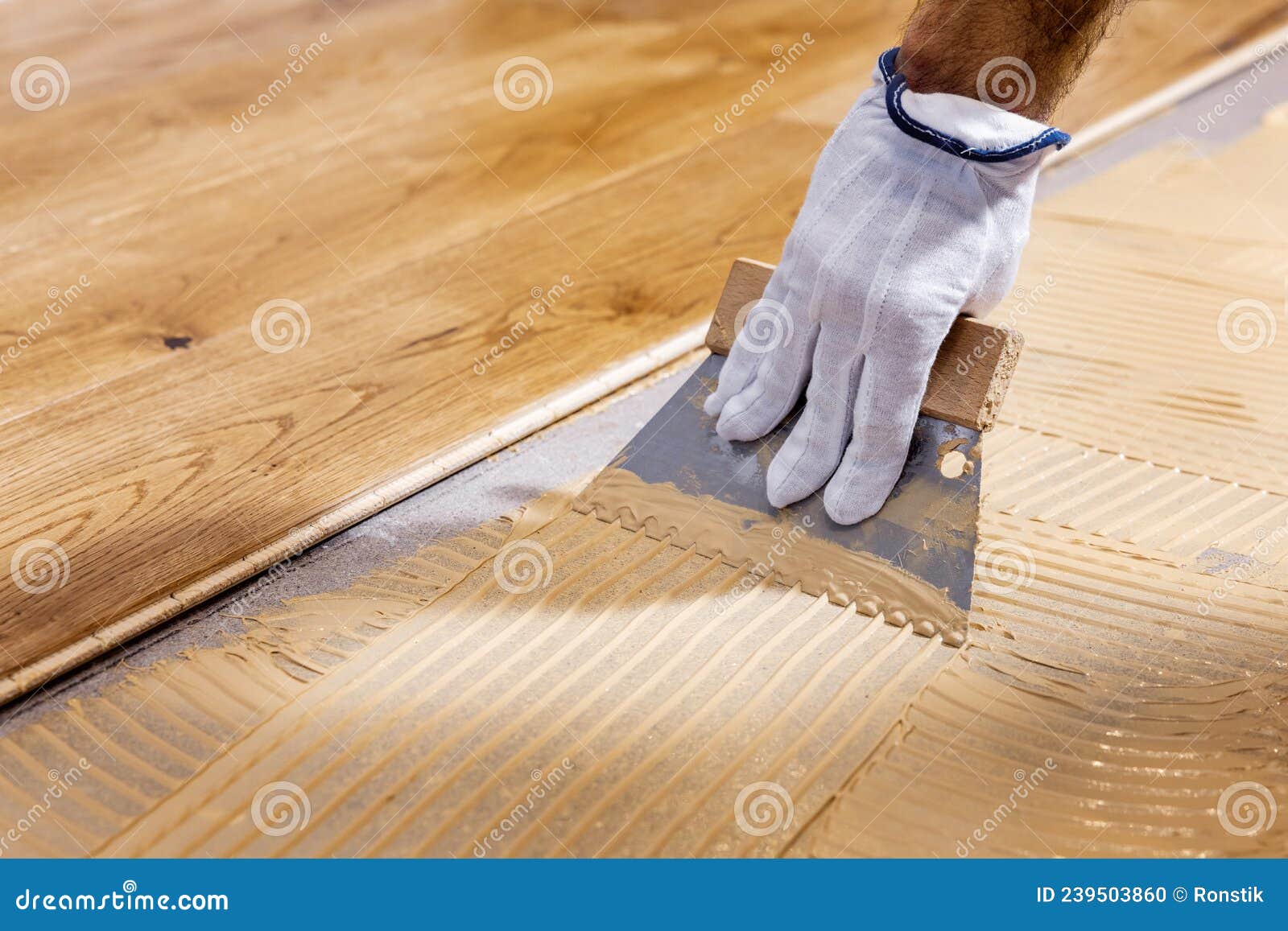Worker Apply Adhesive for 3 Layer Parquet Flooring Stock Photo Image