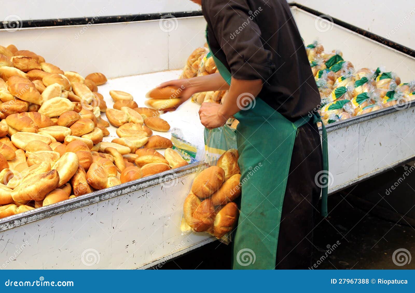 Worker in a Bakery Packaging Bread Stock Photo Image of business