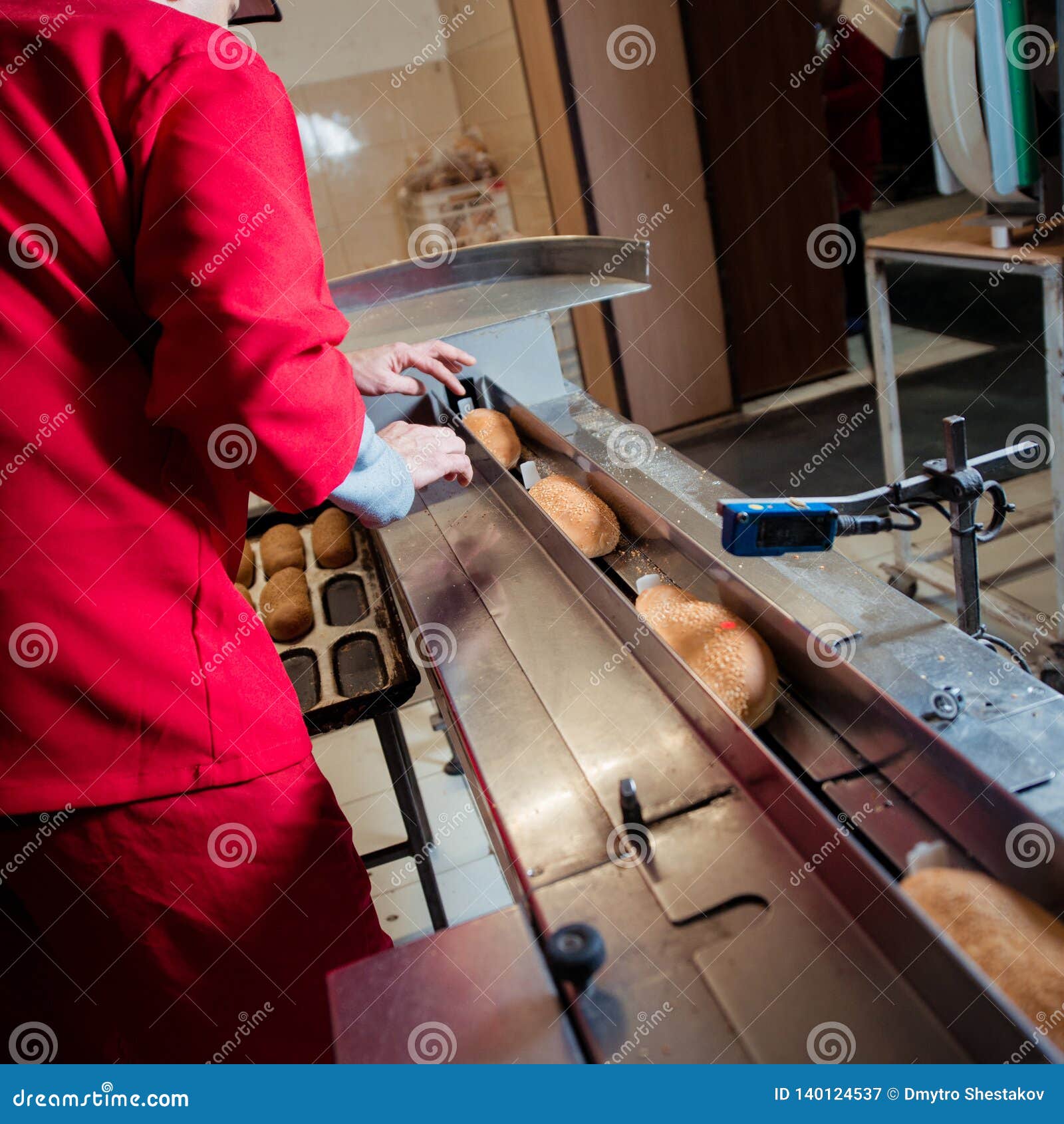 Worker on Bread Packaging Process on a Conveyor Belt Stock Image Image of industry, hand