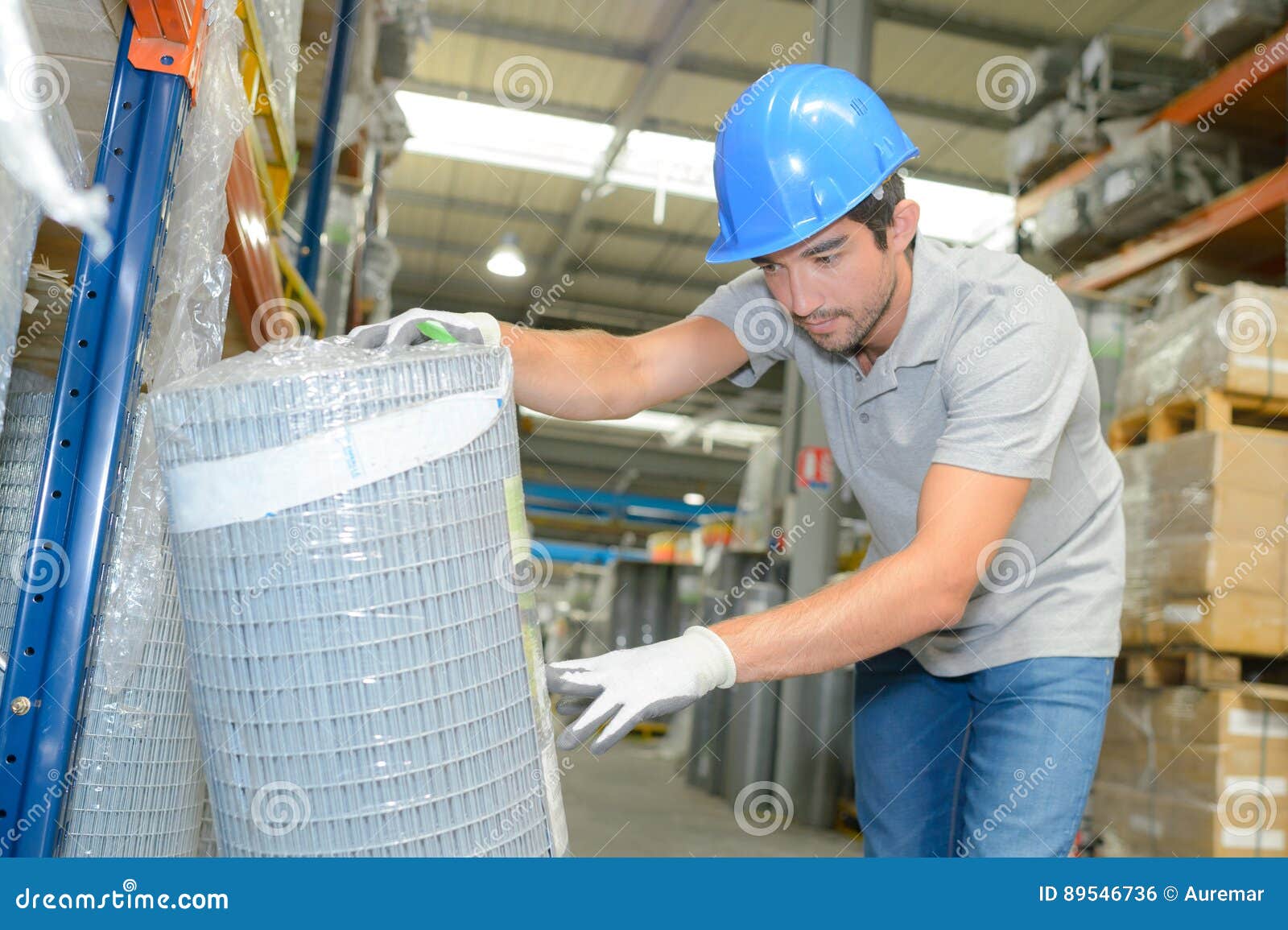 Worker Checking Reference on Roll Fencing Stock Photo Image of