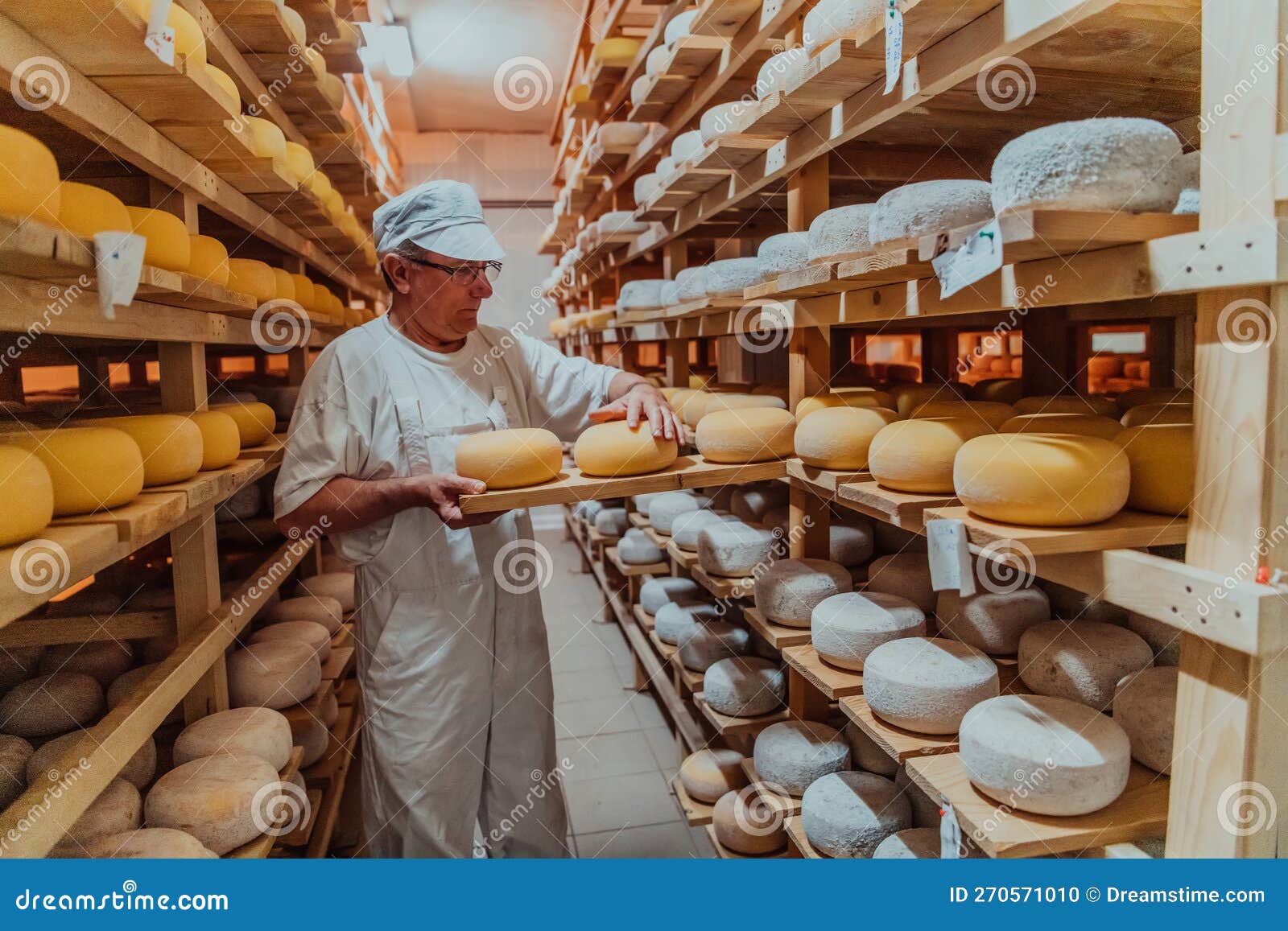 A Worker at a Cheese Factory Sorting Freshly Processed Cheese on Drying