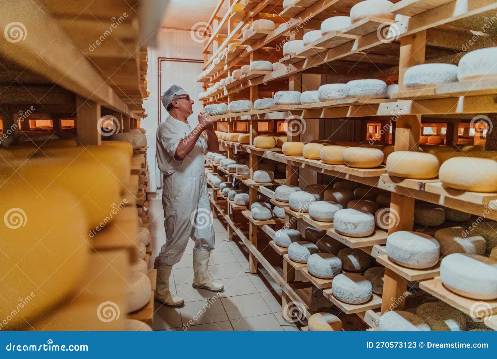 A Worker at a Cheese Factory Sorting Freshly Processed Cheese on Drying