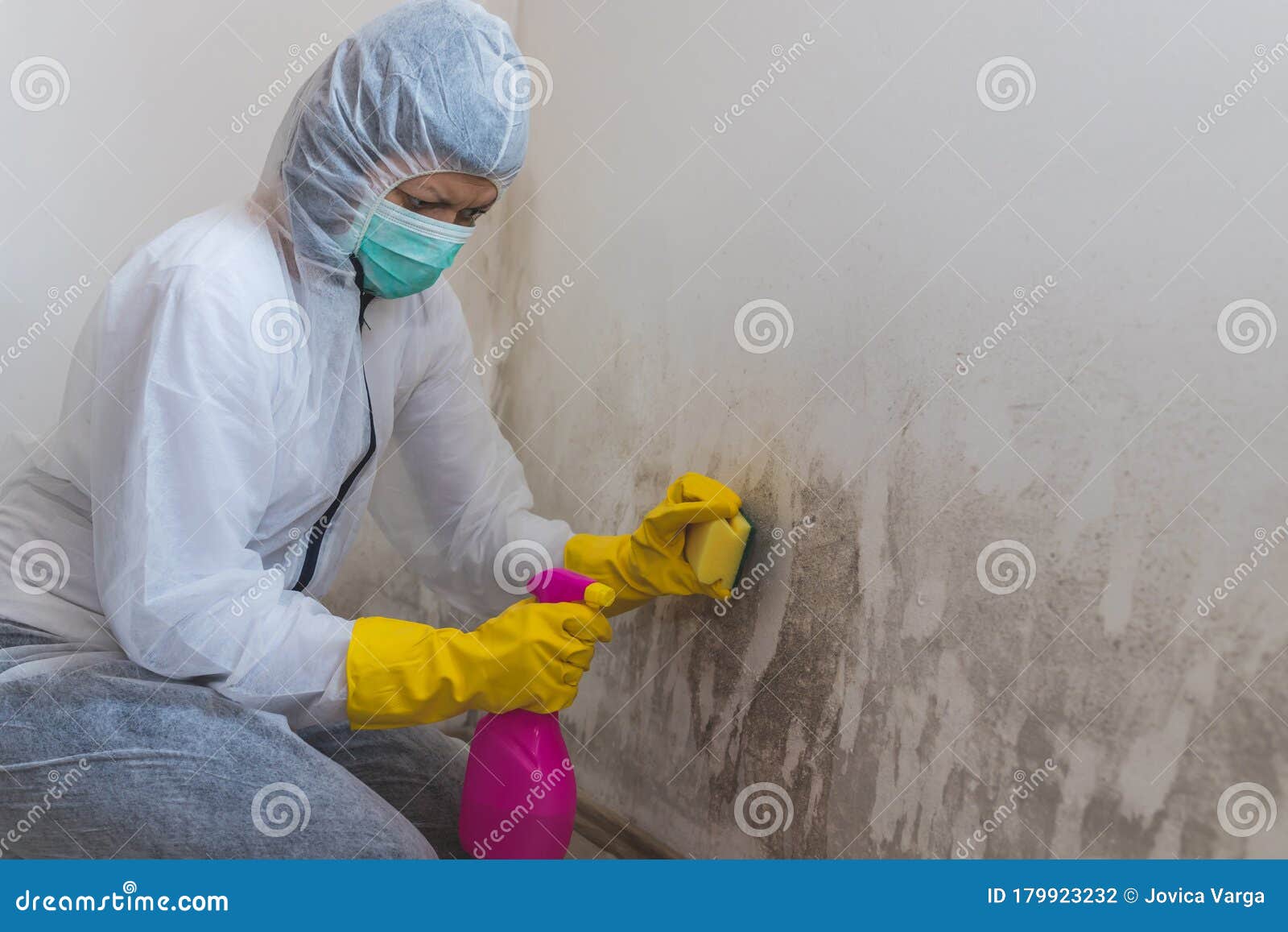 Worker of Cleaning Service Removes the Mold Using Antimicrobial Spray and Sponge Stock Photo