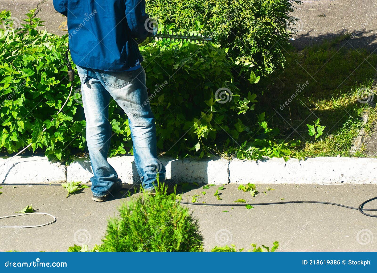 Worker Cuts Bushes with an Electric Clipper Stock Photo Image of