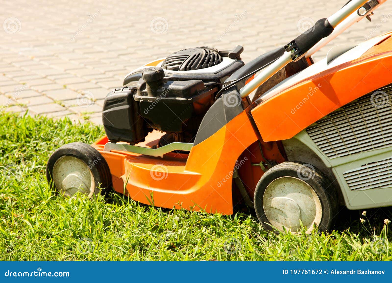 Worker is Cutting the Grass with a Lawn Mower Stock Photo Image of mower, mowing 197761672