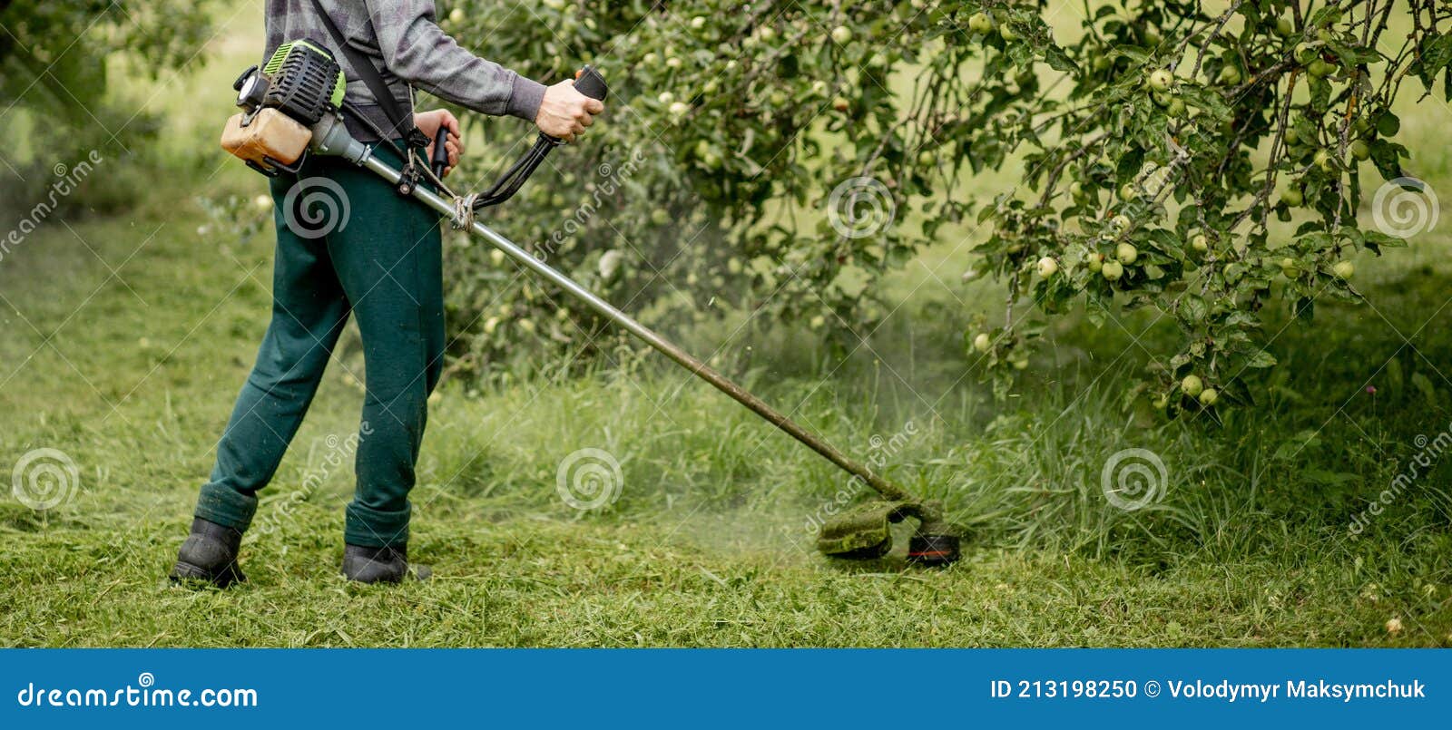 Worker with a Gas Mower in His Hands, Mowing Grass in Front of the ...