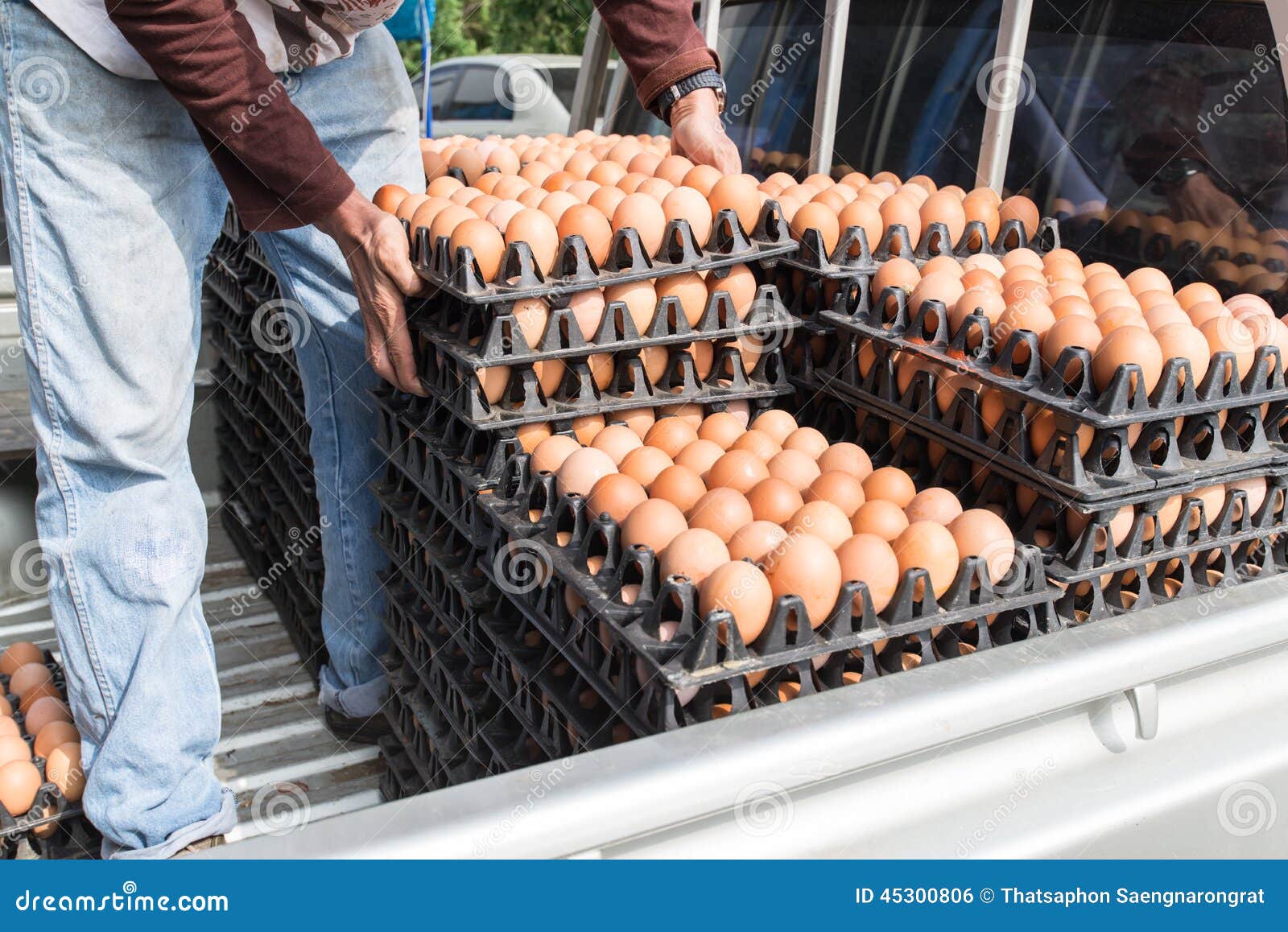 Worker Life Sort Egg Panel in Wholesale Market on Truck Stock Photo
