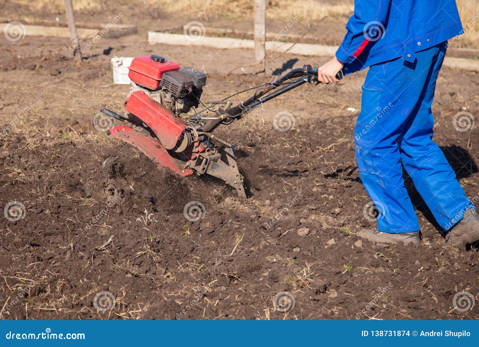 Worker with a Machine Cultivator Digs the Soil in the Garden Stock