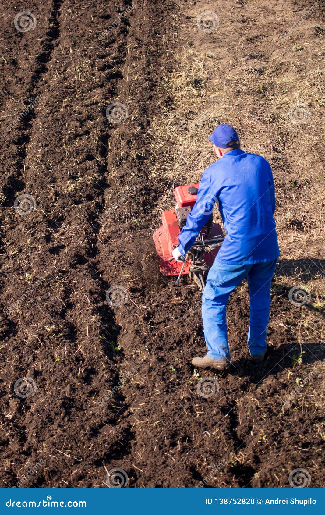 Worker with a Machine Cultivator Digs the Soil in the Garden Stock