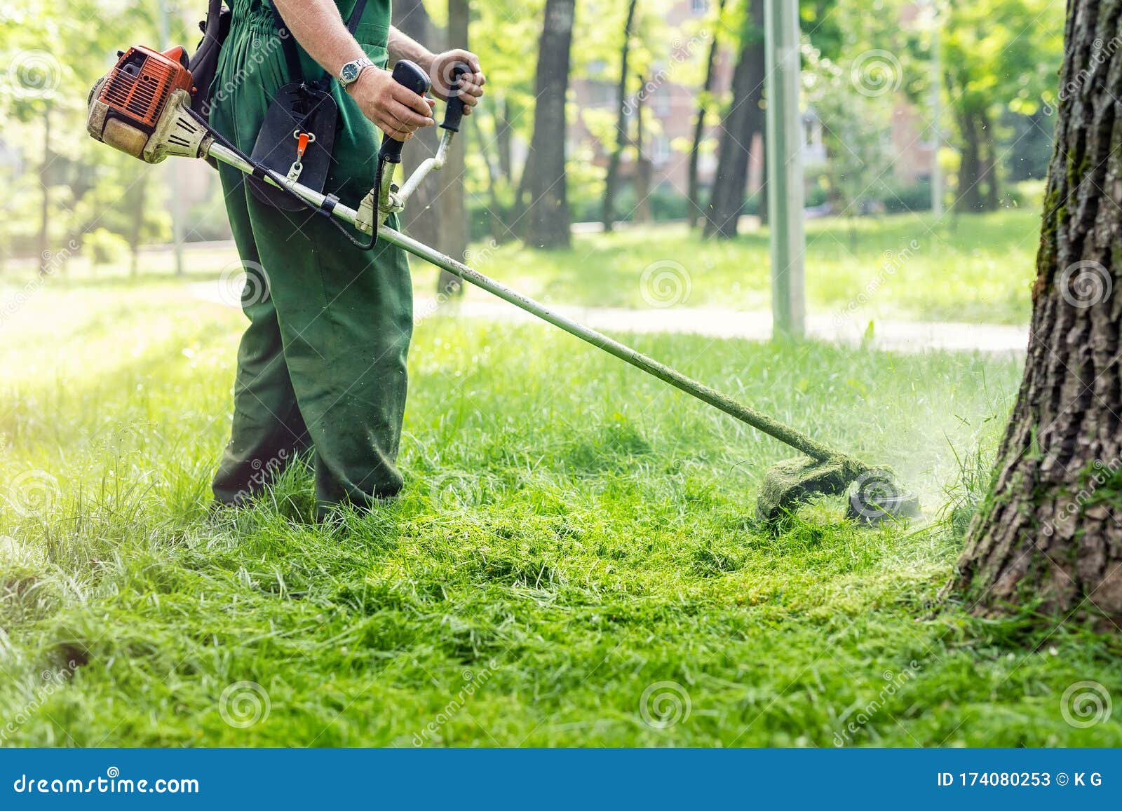 Worker Mowing Tall Grass with Electric or Petrol Lawn Trimmer in City ...