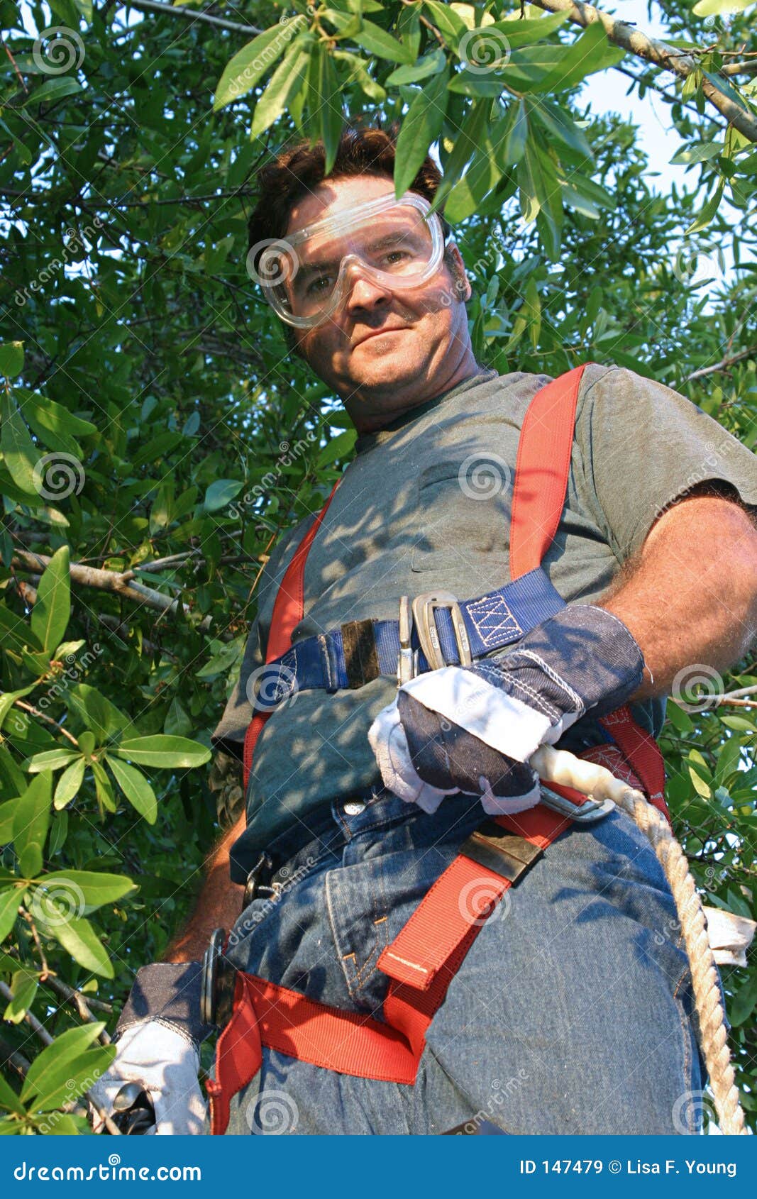 Worker in Safety Gear stock image. Image of jobs, ladders 147479