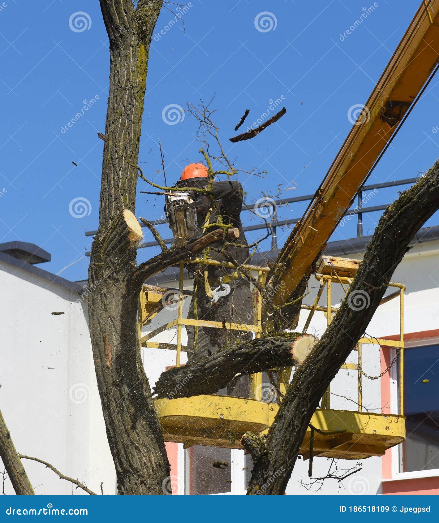 A Worker Saws Off Tree Branches at a Height of. Stock Image Image of