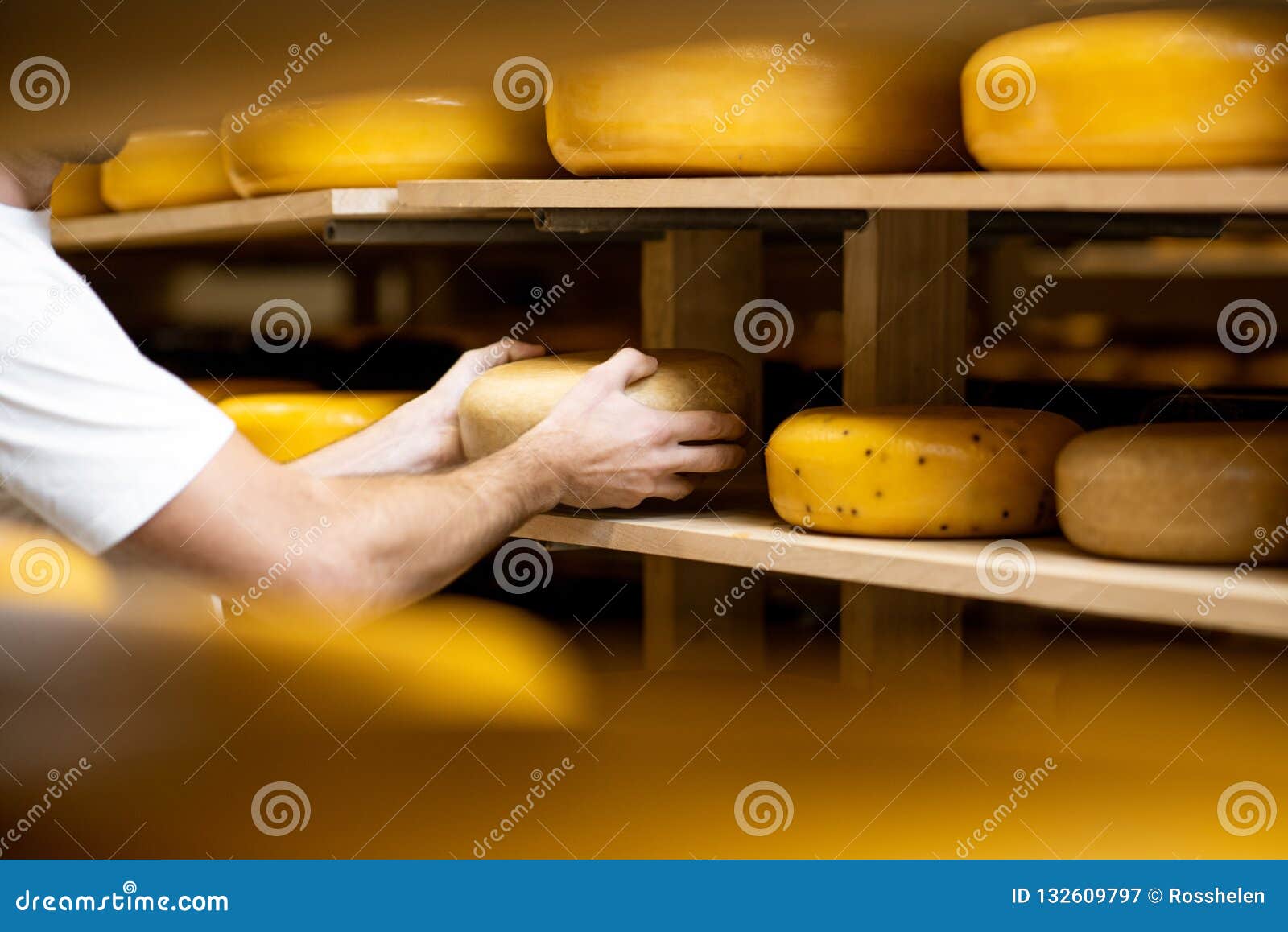 Cheese Maker at the Cheese Storage Stock Image Image of store, stack