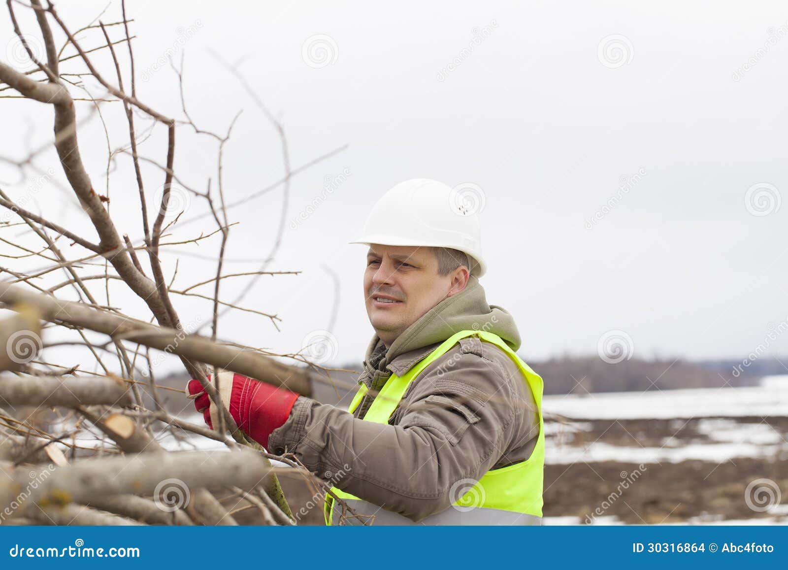 Worker Throws Wooden Branches Stock Photo Image of lumber, industry