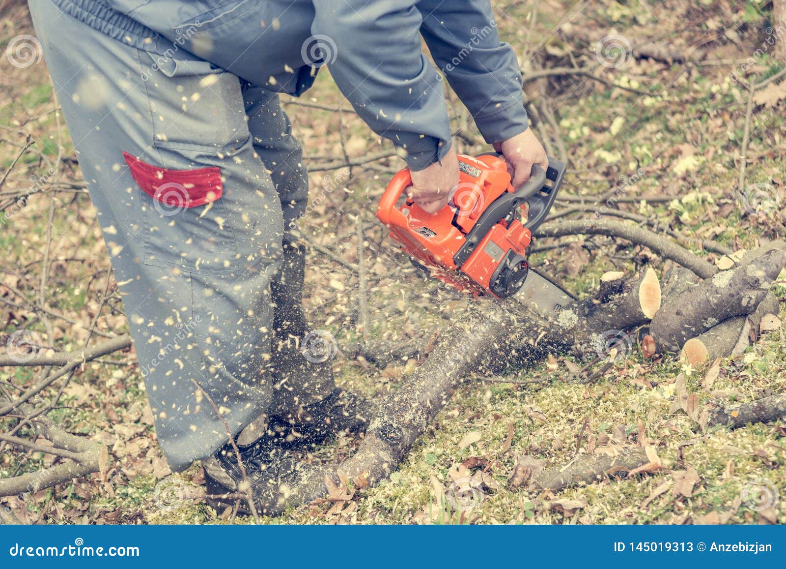 Worker Using Chain Saw and Cutting Tree Branches. Stock Image Image of equipment, chain 145019313