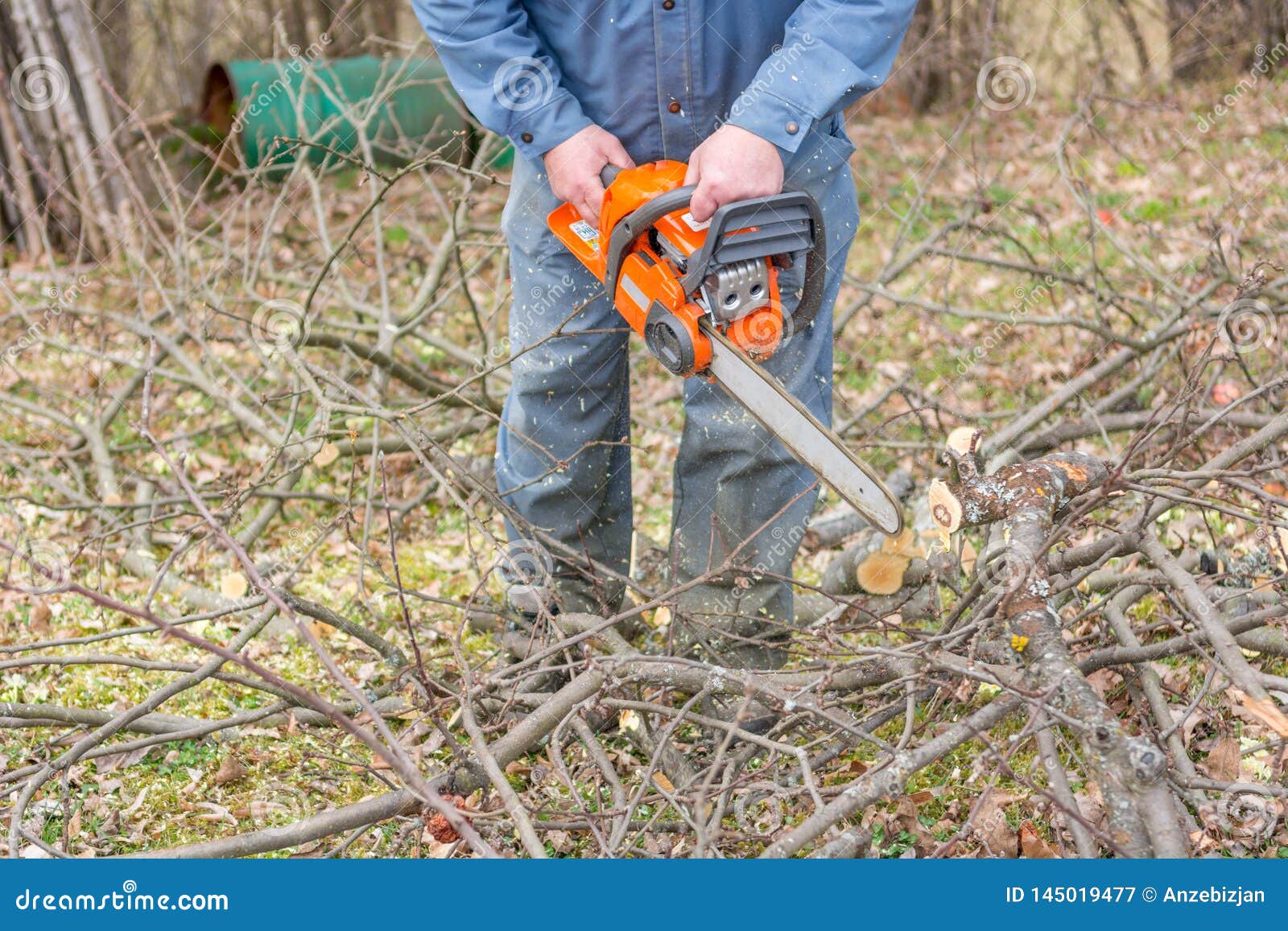 Worker Using Chain Saw and Cutting Tree Branches. Stock Image Image of caucasian, natural