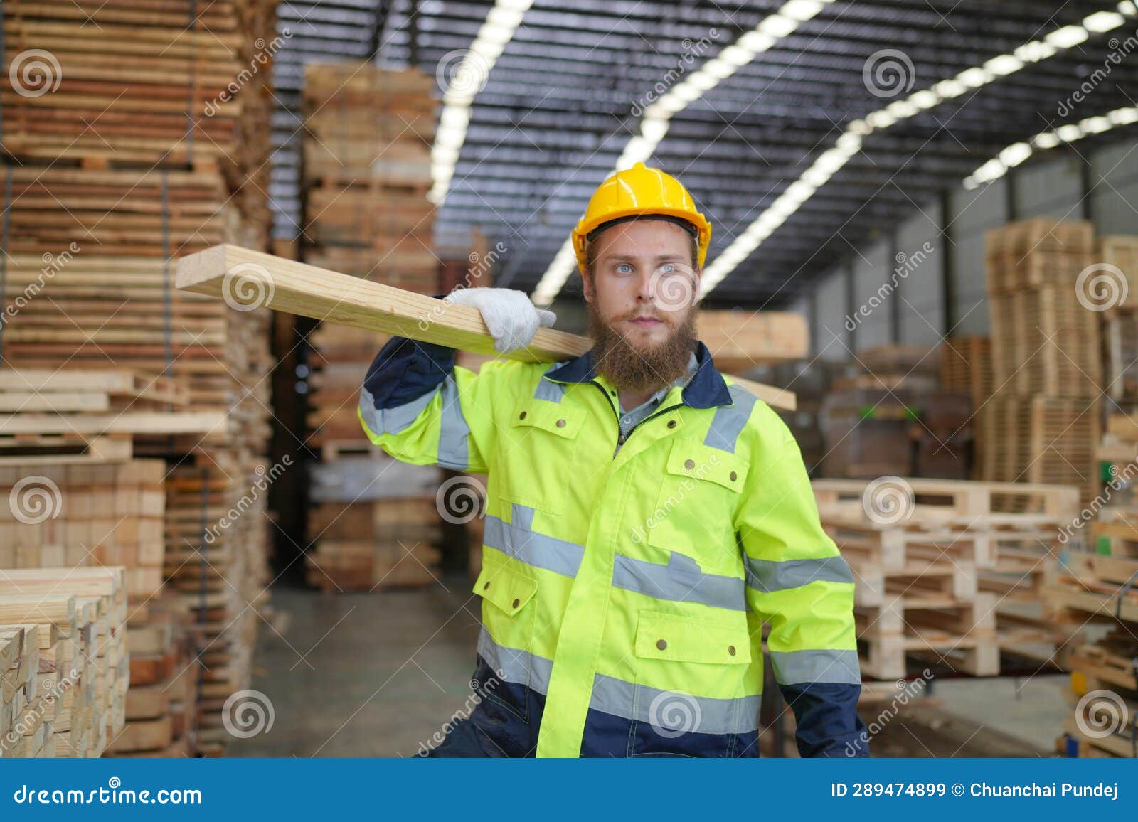 Worker are Working at Lumber Yard in Large Warehouse. Stock Image