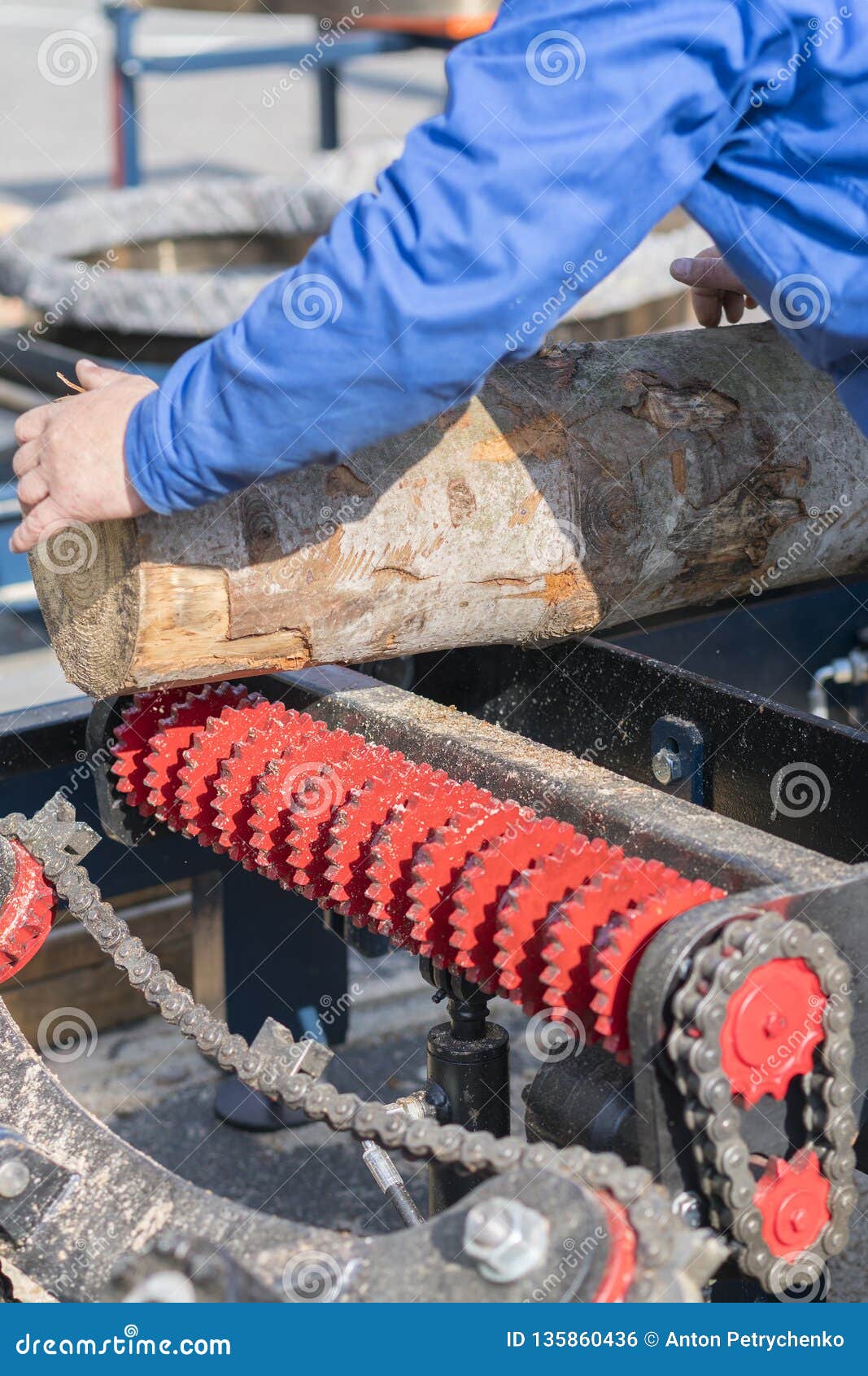 worker works at a woodworking enterprise. wood industry. vertical photo