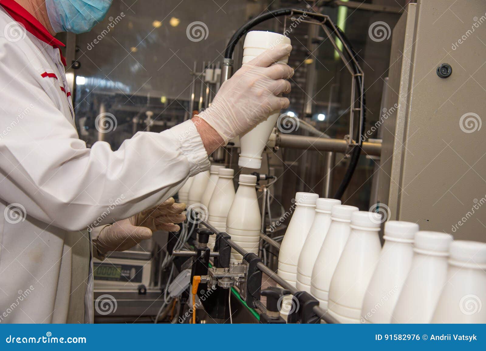 A Modern Dairy Farm For Milking Cows And Harvesting Milk, The Milkmaid