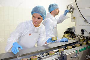 Workers On Food Production Line Stock Photo Image Of Control Power Workers On Food Production Line Stock Photo Image Of Control Power