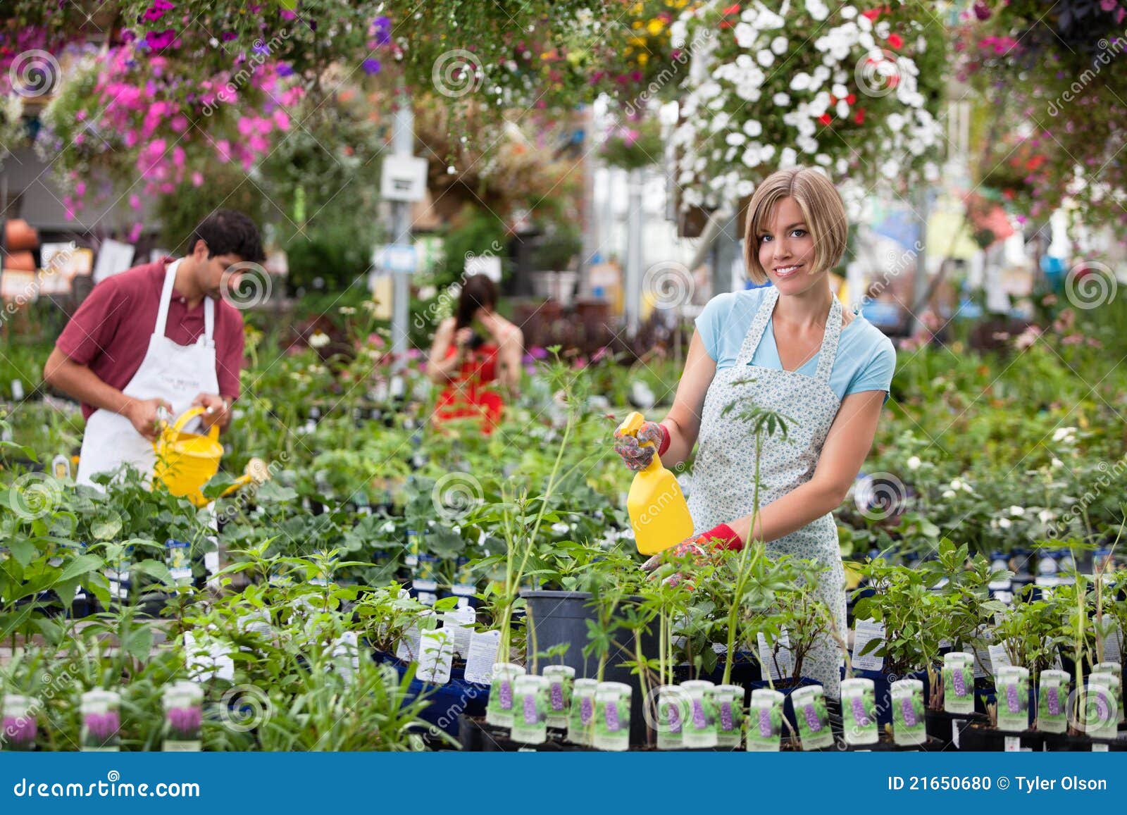 Workers at greenhouse stock photo. Image of apron, india 21650680