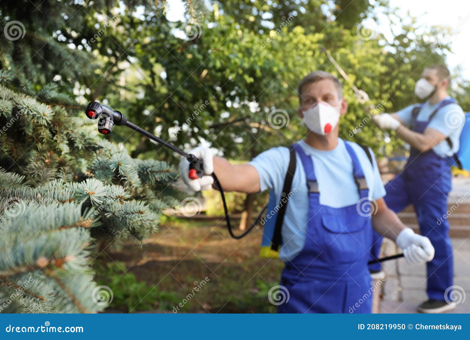 Workers Spraying Pesticide Onto Tree Outdoors. Pest Control Stock Photo Image of insecticide