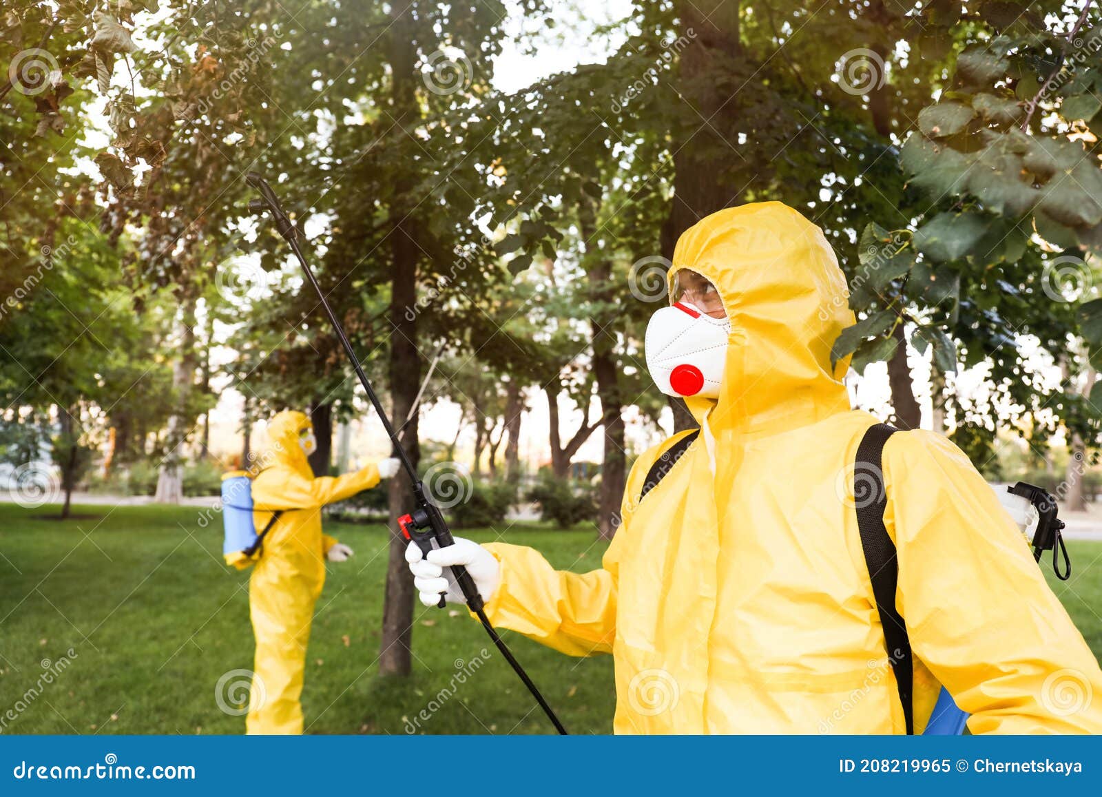 Workers Spraying Pesticide Onto Tree Outdoors. Pest Control Stock Image Image of industry