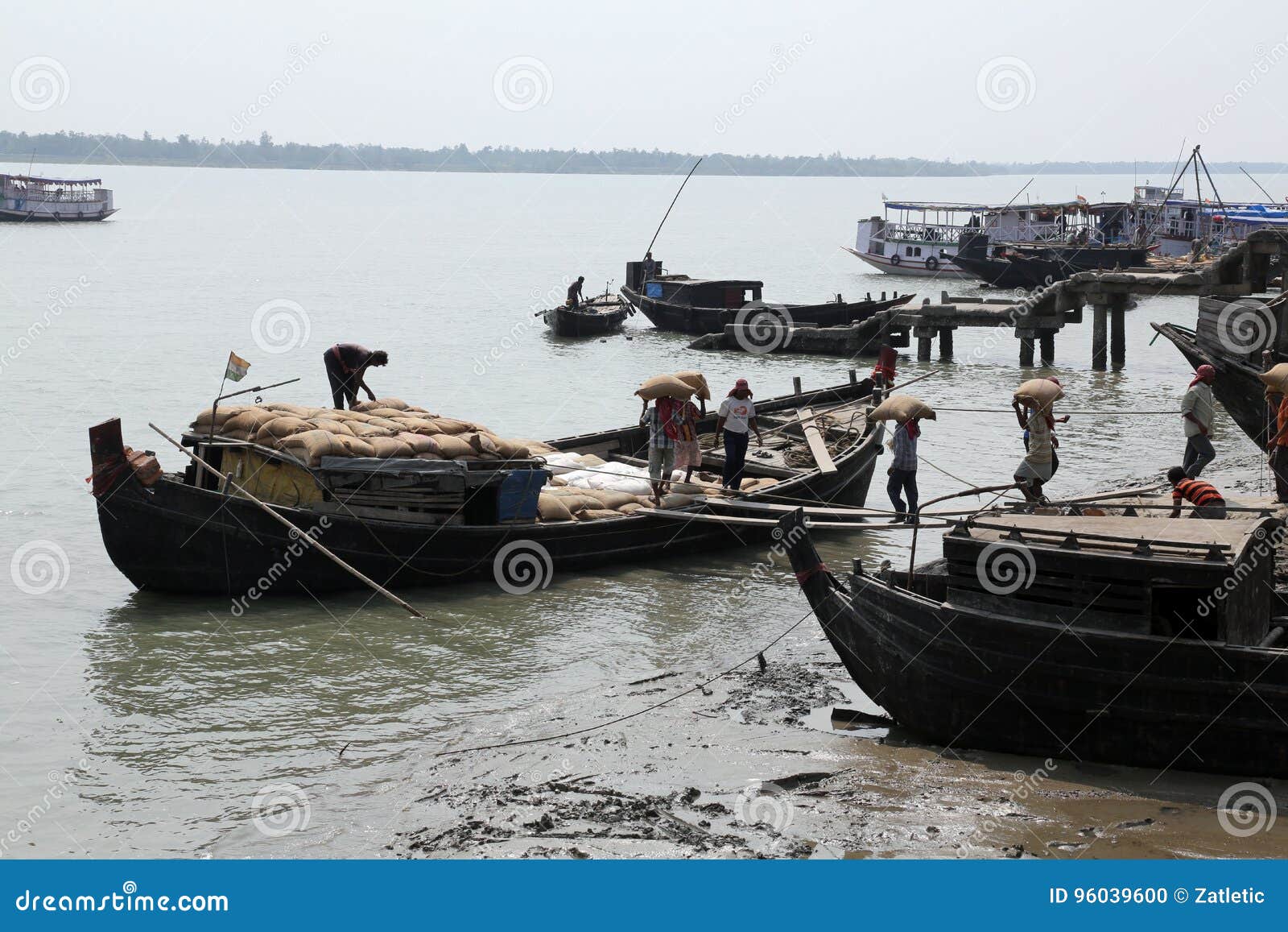 Workers Unload Cargo from the Boat in Gosaba, India Editorial Image