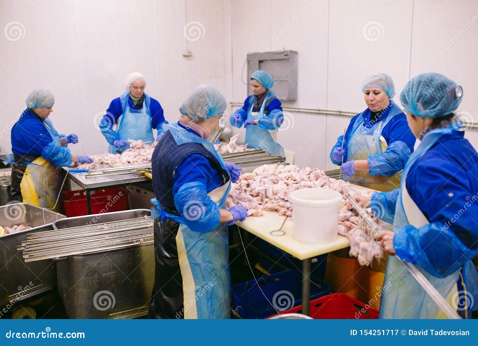 Workers Working in a Chicken Meat Plant Stock Image Image of hygiene, industry 154251717