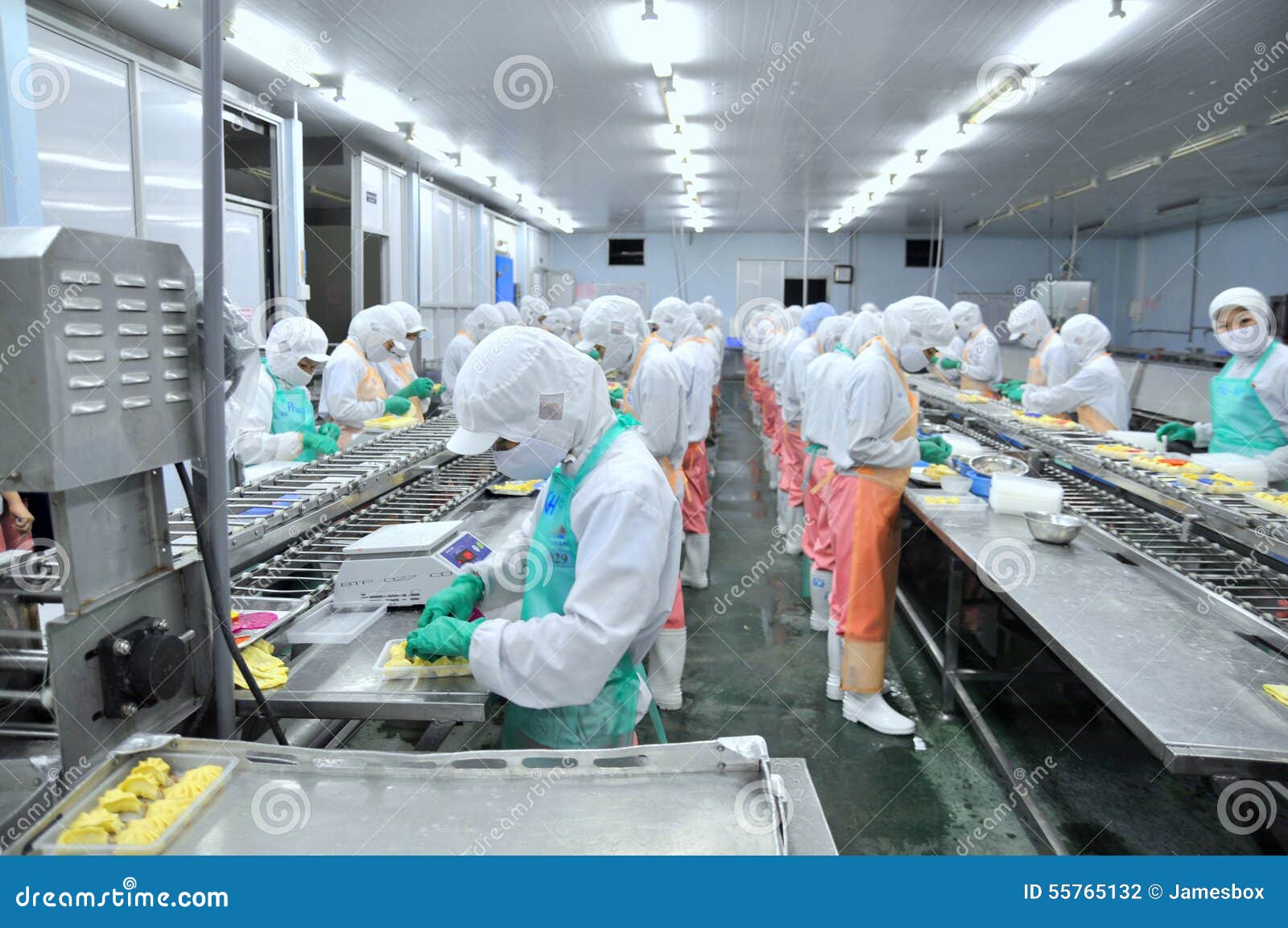 food processing business plans