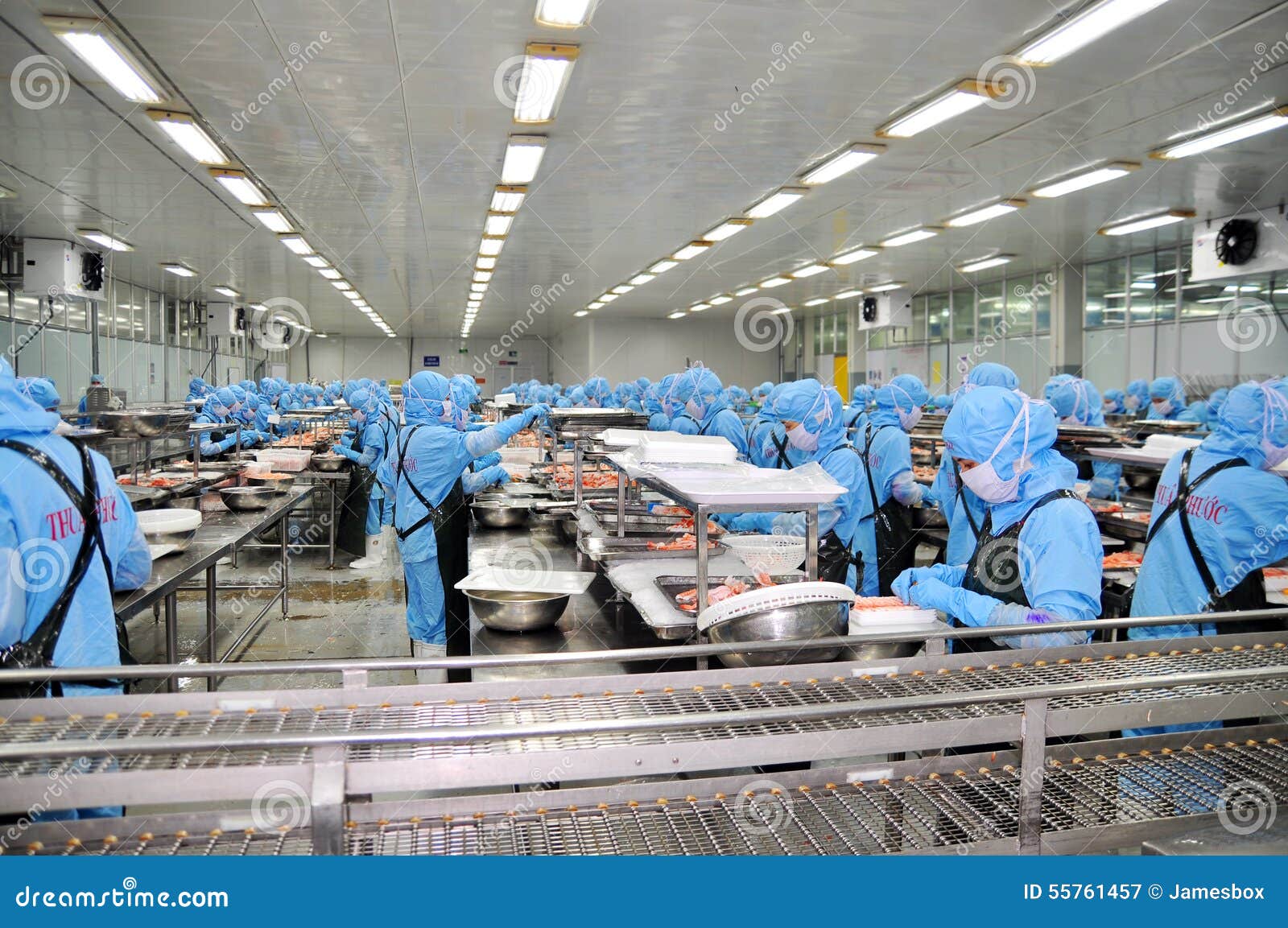 Workers Working a Seafood Processing for Exporting Shrimp Editorial Photography - Image of agriculture, 55761457