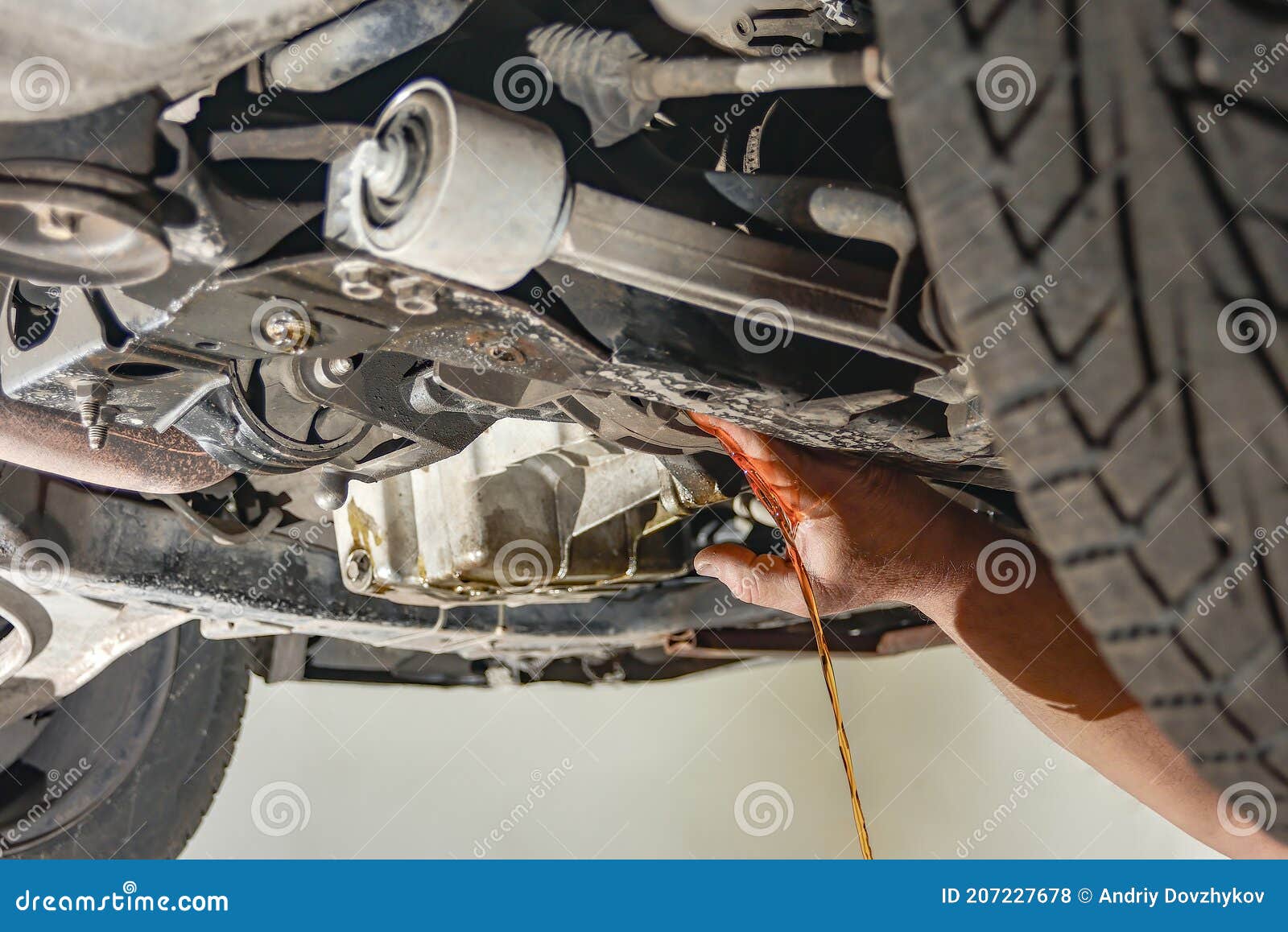 A Working Car Mechanic Drains a Car`s Engine Oil To Replace it with a New One Stock Photo