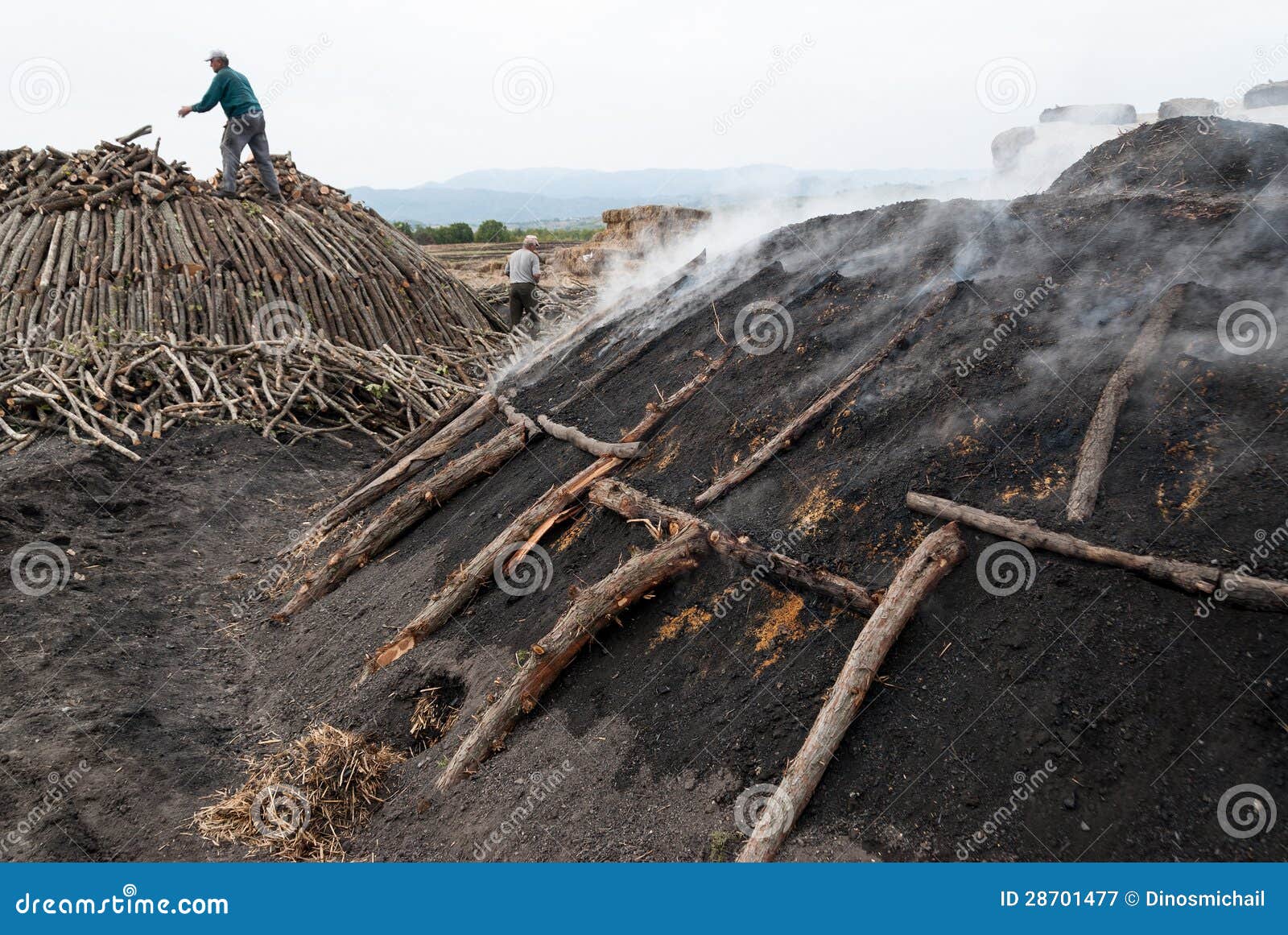 Working in Charcoal Production Editorial Photography Image of