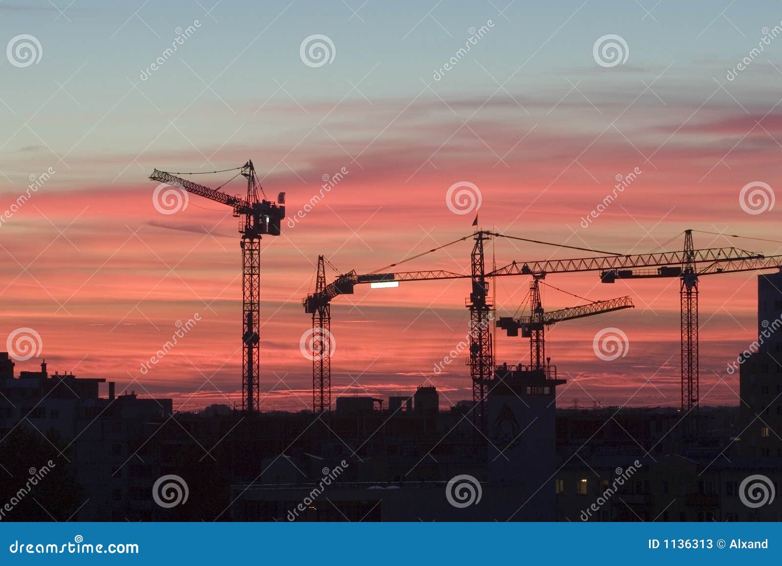 working cranes