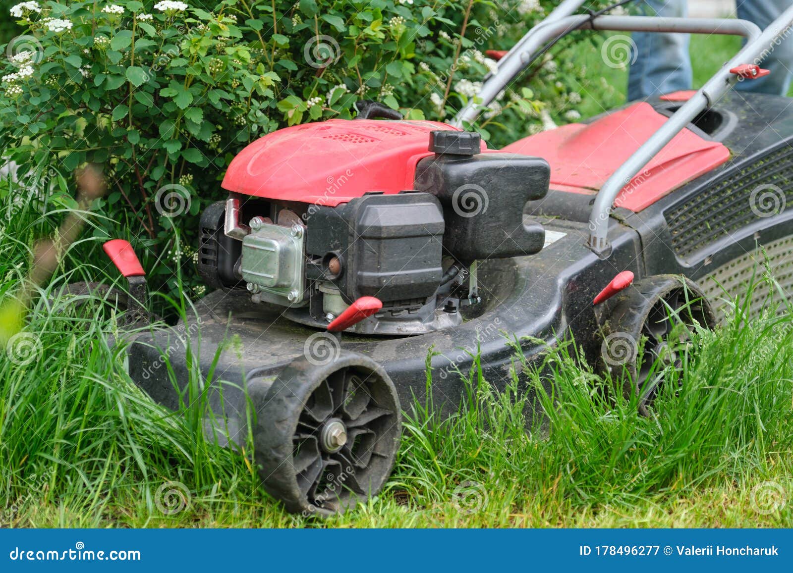Working Lawn Mower on Green Lawn with Trimmed Grass Stock Image Image