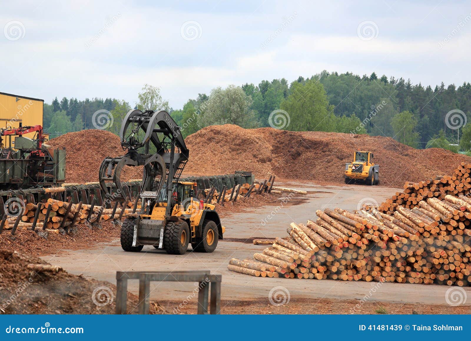 Working at Lumber Yard editorial stock image. Image of forklift - 41481439
