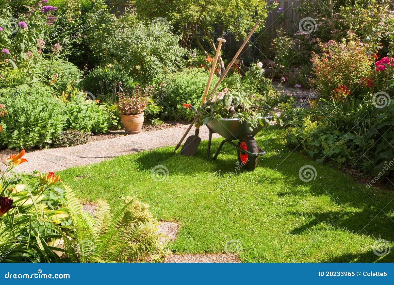 working with wheelbarrow in the garden