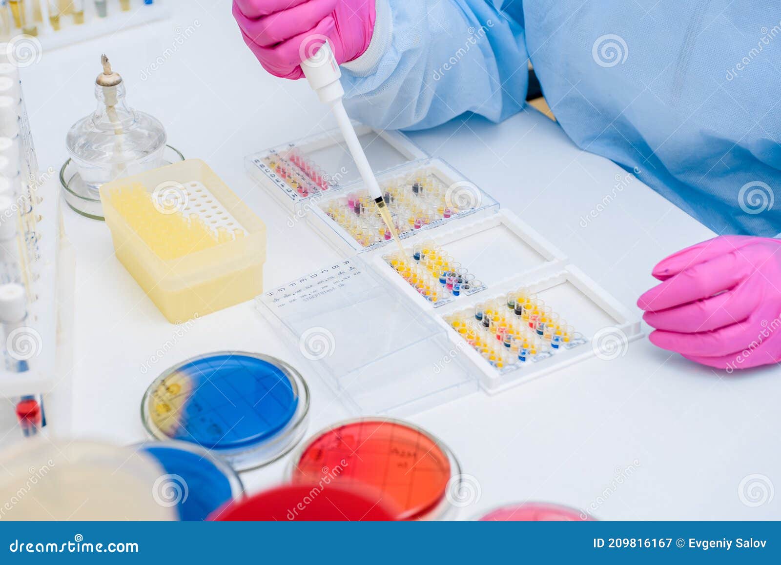 Workspace of a Laboratory Assistant in a Bacterial Laboratory