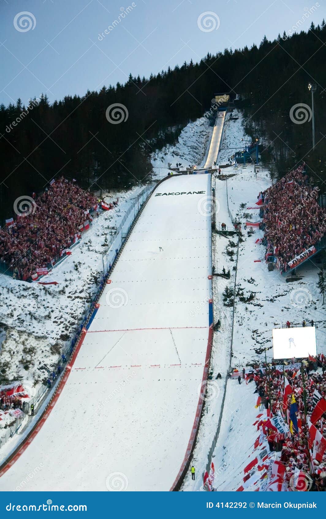 11,566 World Cup Ski Stock Photos