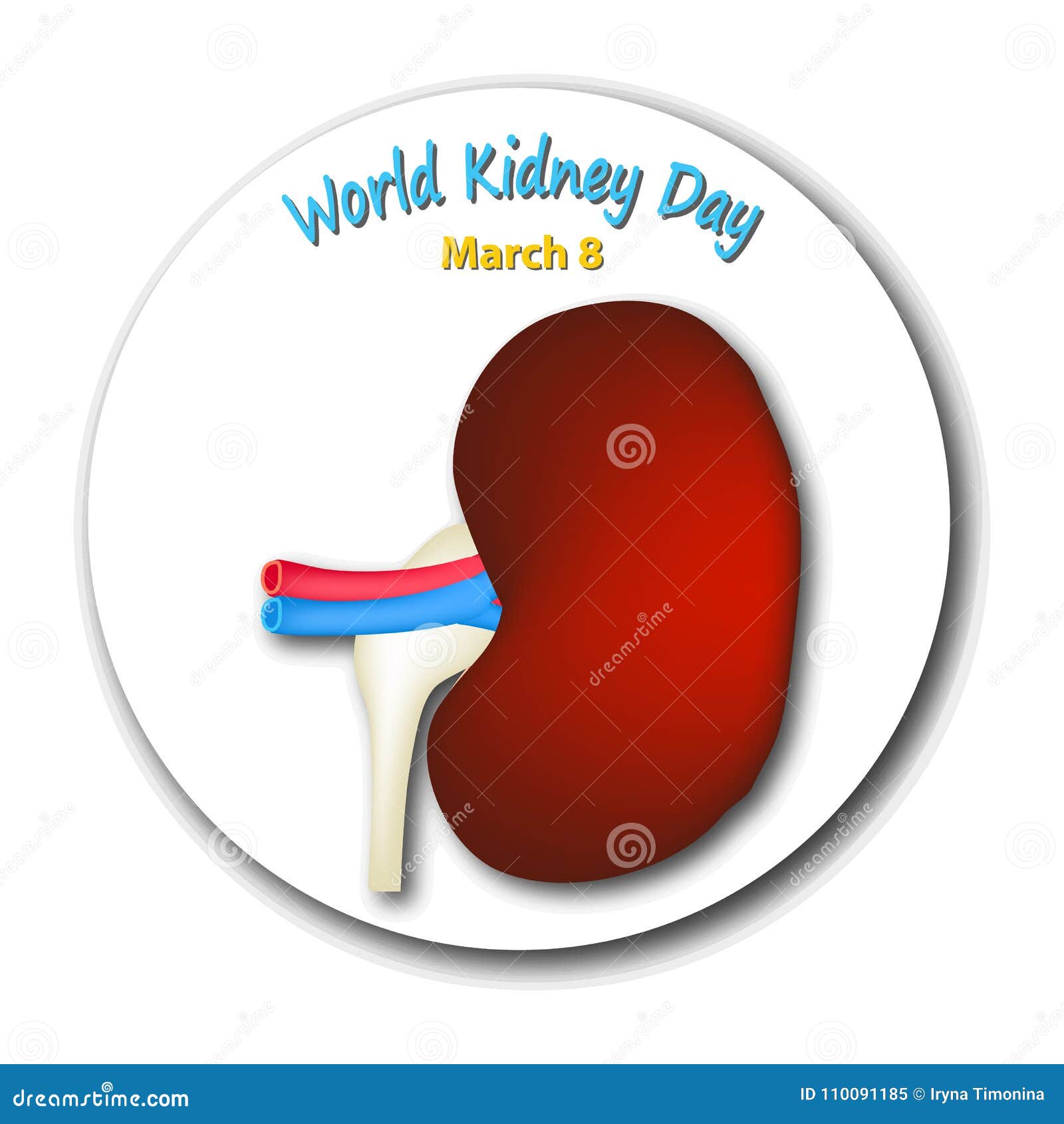 World Kidney Day. Round Emblem. the Structure of the Kidney Stock ...