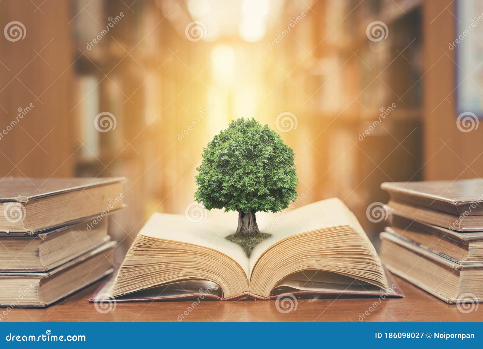 world philosophy day concept with tree of knowledge planting on opening old big book in library full with textbook, stack piles